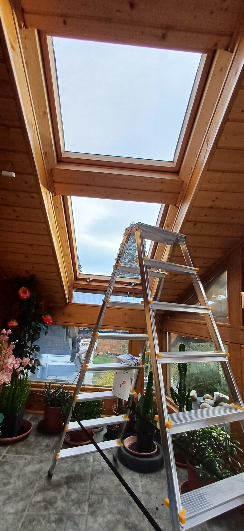 Holzverkleidetes Dachgeschoss mit offenem Dachfenster, Leiter und Zimmerpflanzen