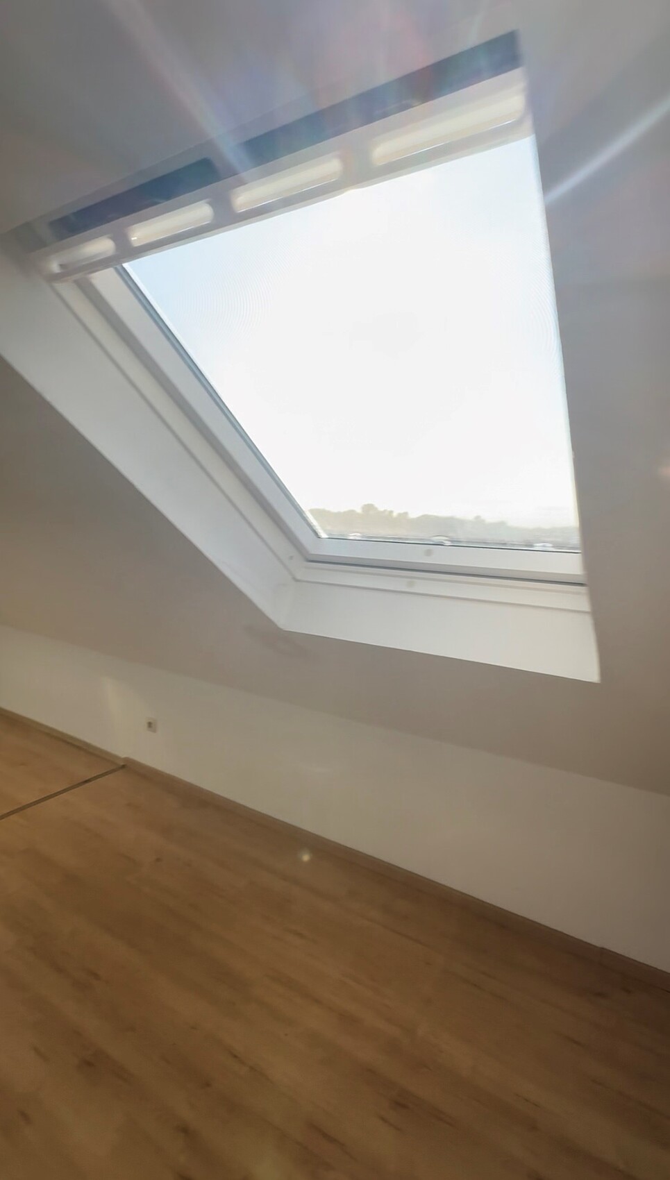 Heller Raum mit Dachfenster in schräger Decke und Holzboden; Blick auf Himmel und Bäume.