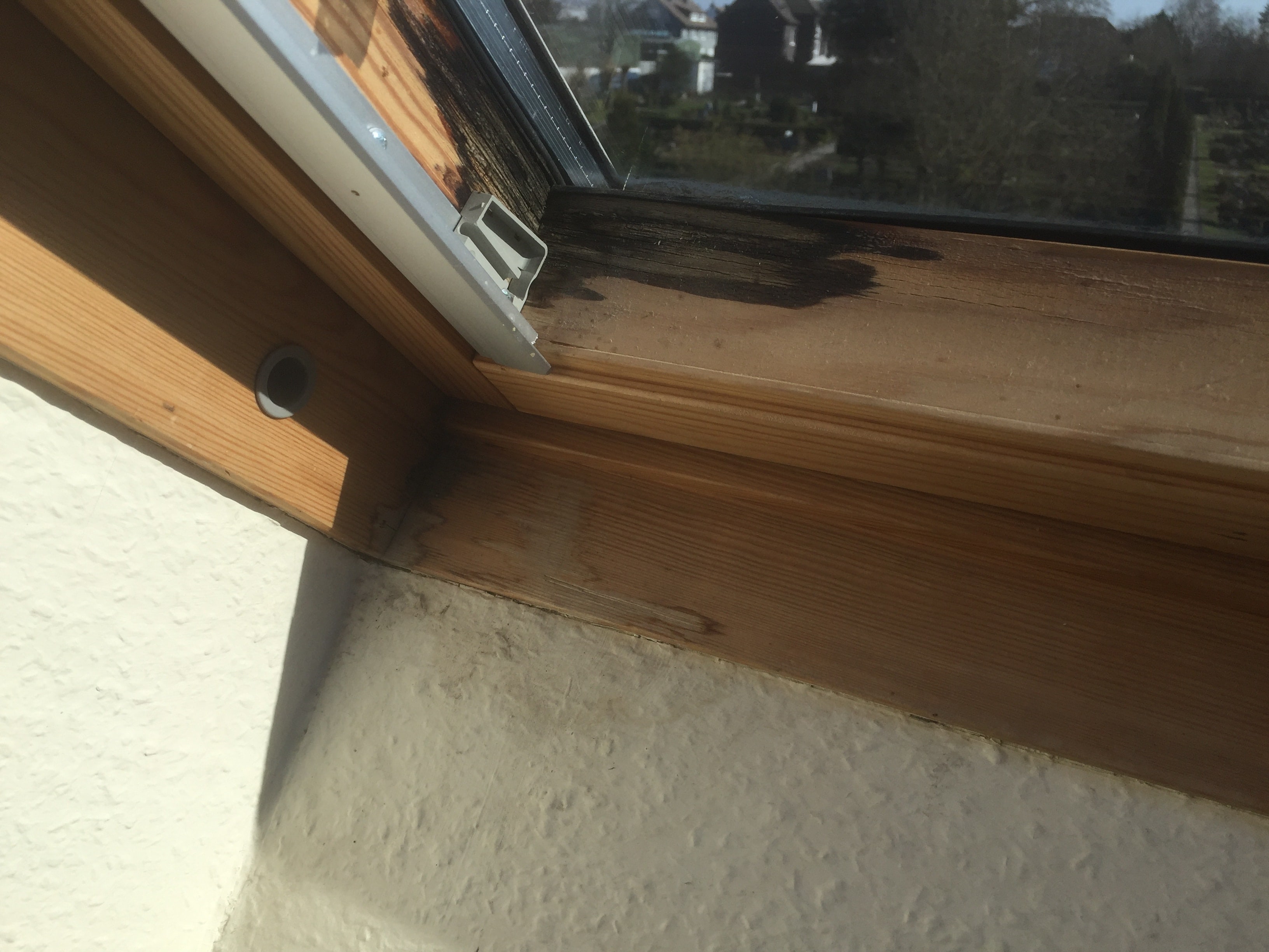 dachfenster-holz-schimmeln-122205-1.JPG