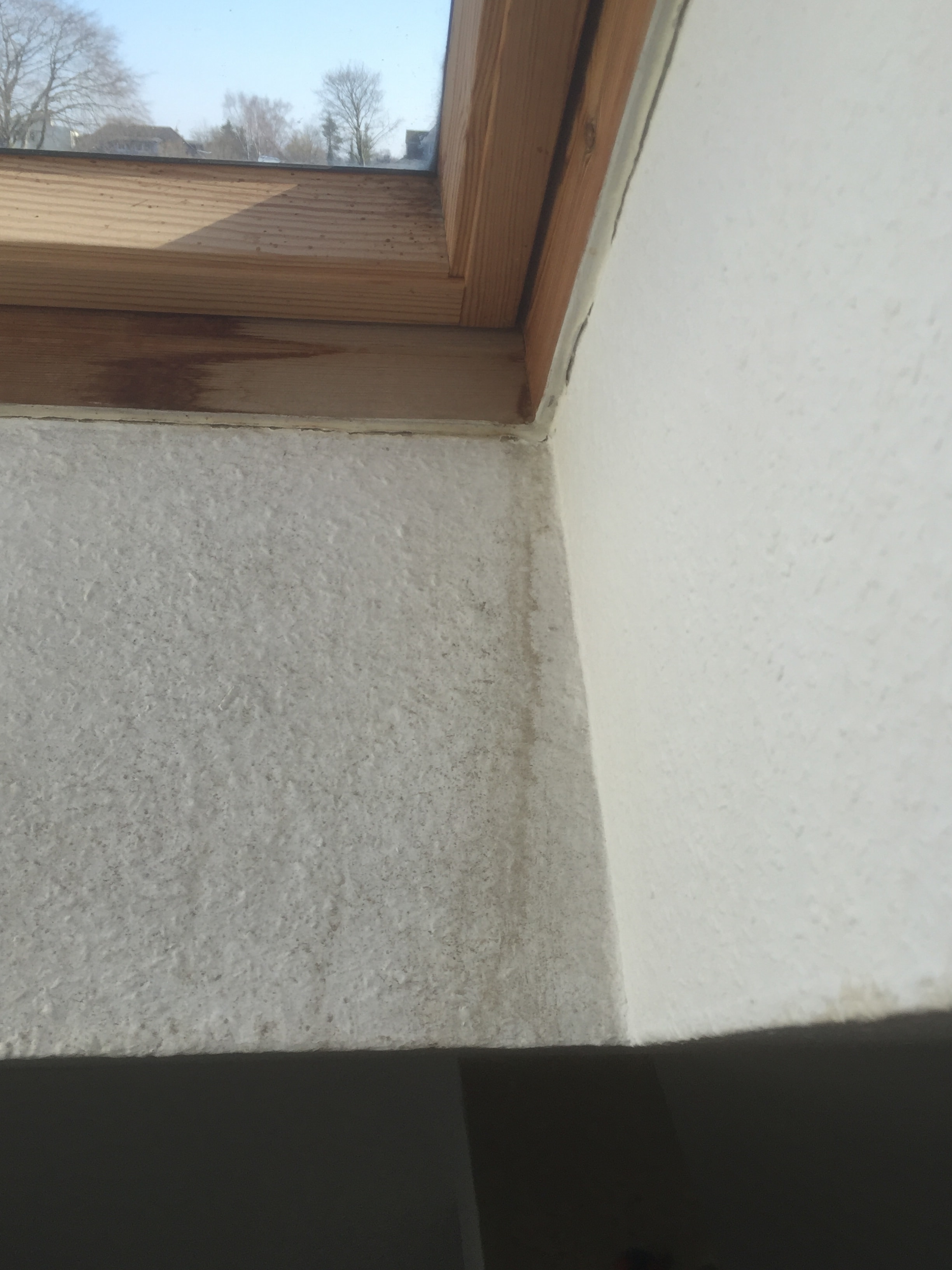 dachfenster-holz-schimmeln-122205-3.JPG