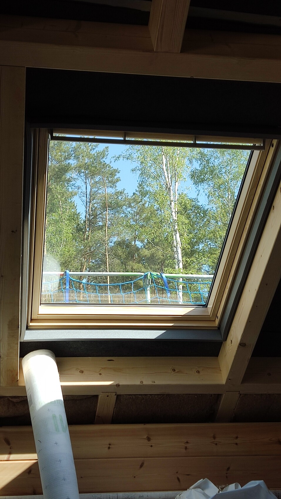 Blick durch Dachfenster auf grüne Baumlandschaft; außen blaue Netzabsperrung, innen Holzbalken.