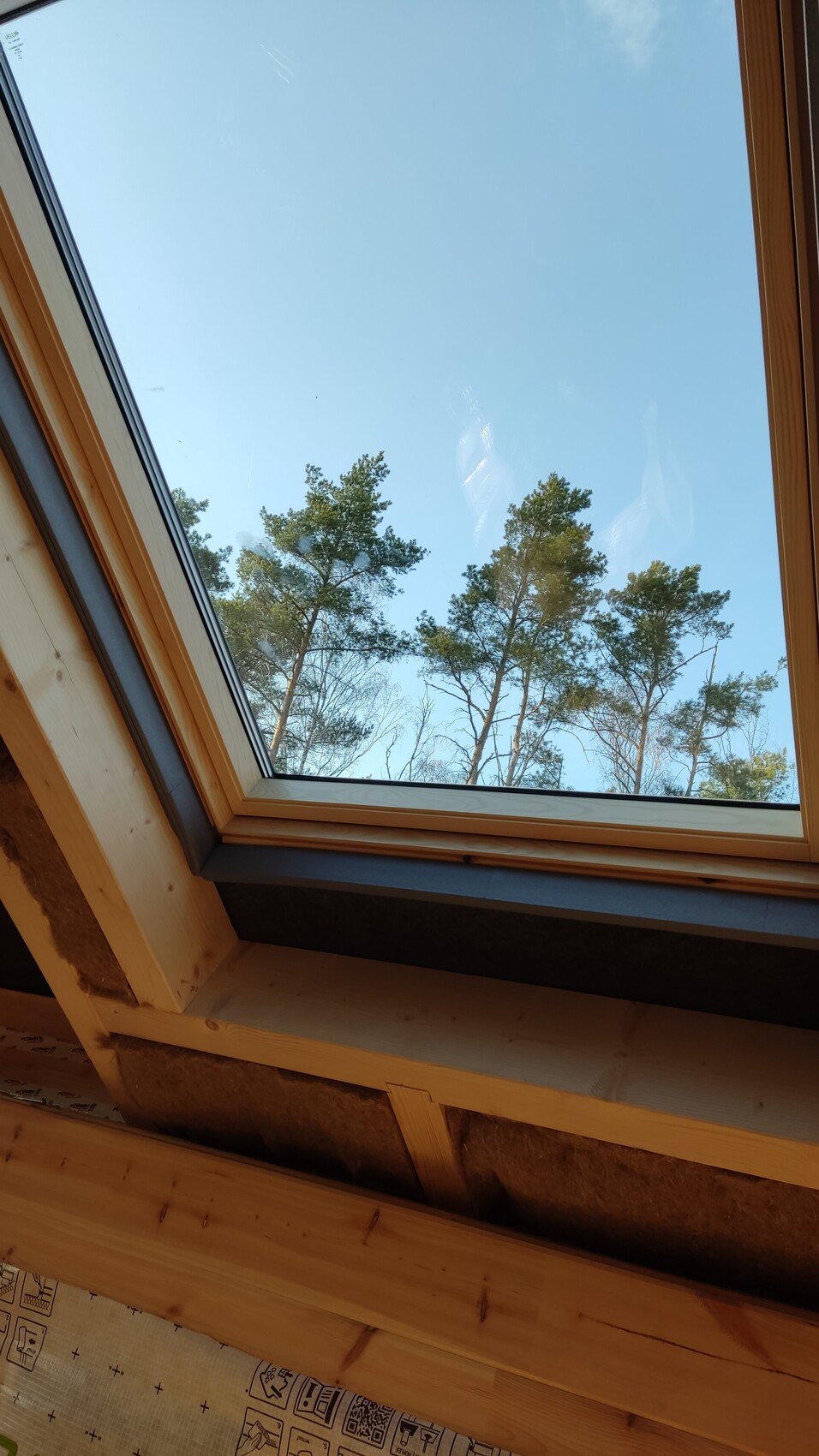 Dachfenster von innen, Blick auf blauen Himmel und Kiefern draußen.