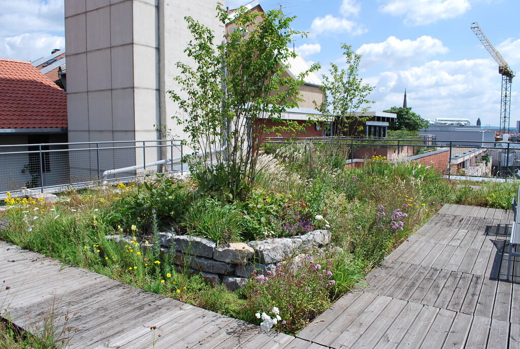 Dachterrasse mit Holzplanken, bepflanztem Steinbeet und urbanem Hintergrund