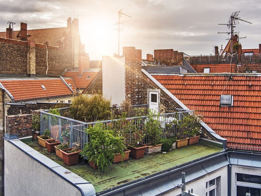 Dachterrasse mit Töpfen und Grünpflanzen auf einem Stadtgebäude im Sonnenlicht.
