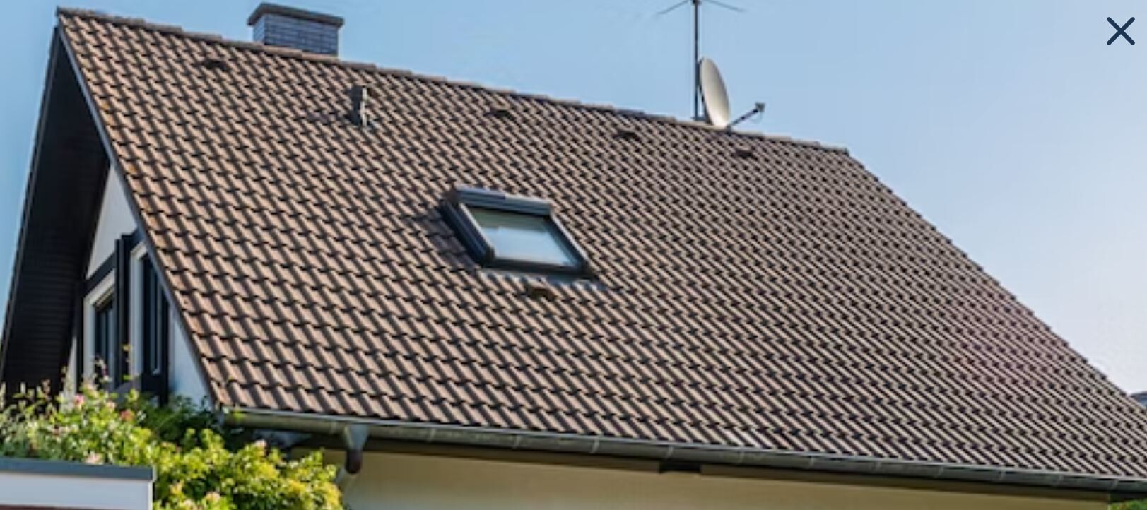 Ziegeldach eines Hauses mit Dachfenster, Satellitenschüssel und Grünpflanzen vor blauem Himmel