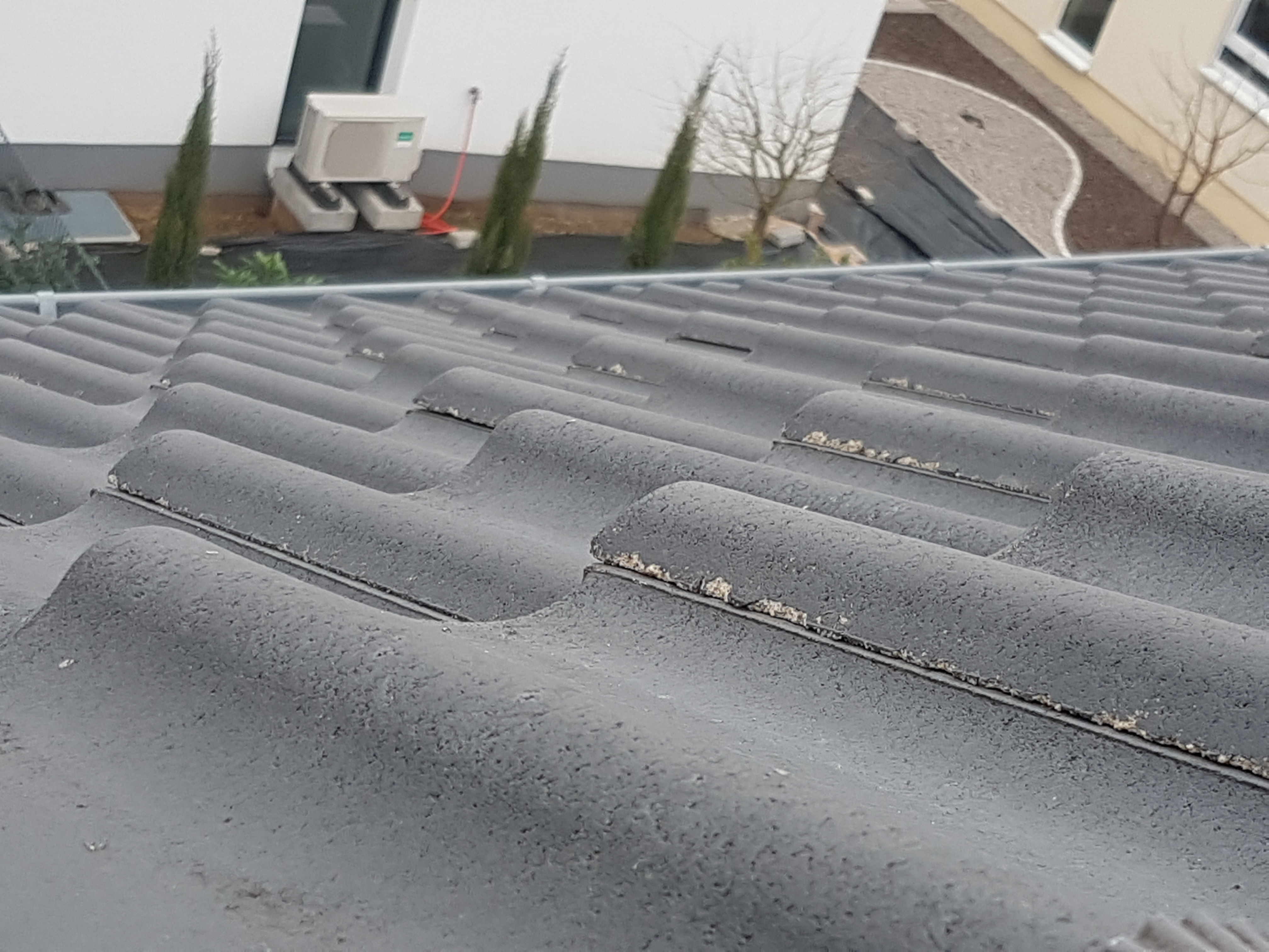 dachziegel-seitliche-absplitterungen-314555-1.jpg