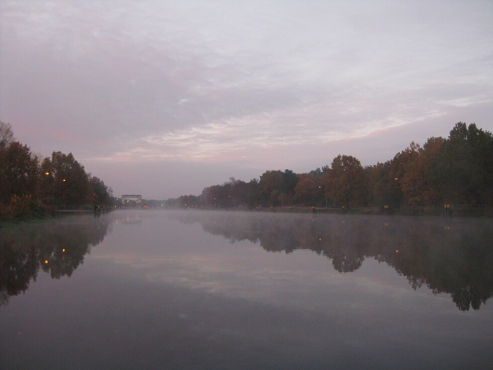Ruhiger See mit Nebel, Baumreihen spiegeln sich im Wasser bei Dämmerung.