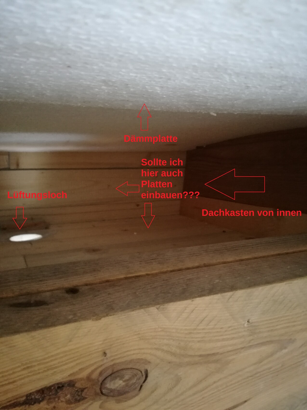 Dachbodenunterseite mit Dämmplatten, Lüftungslöchern und Holzbalken
