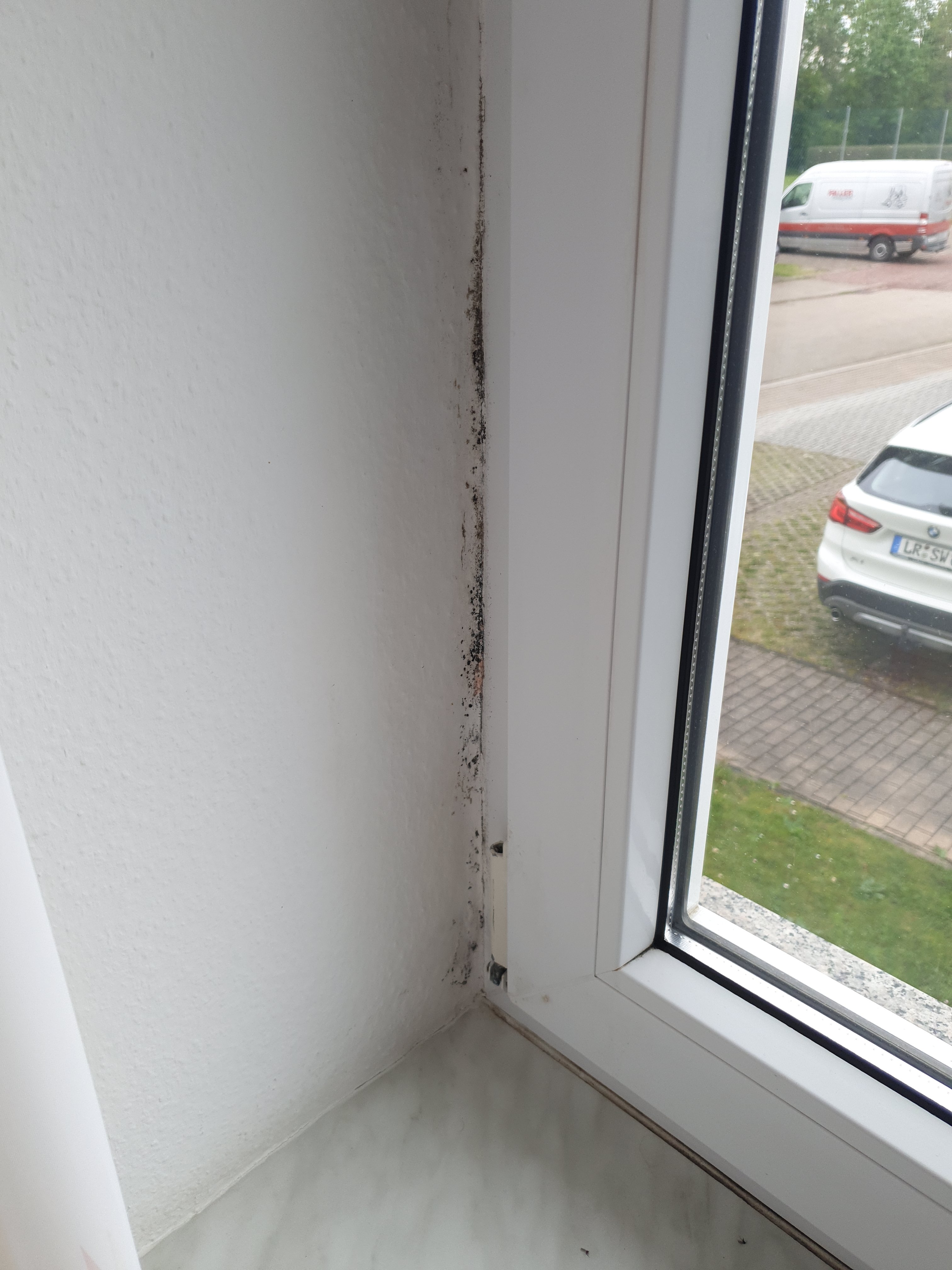daemmung-bei-renovierung-am-rollladenkasten-schimmelvermeidung-493335-1.jpg