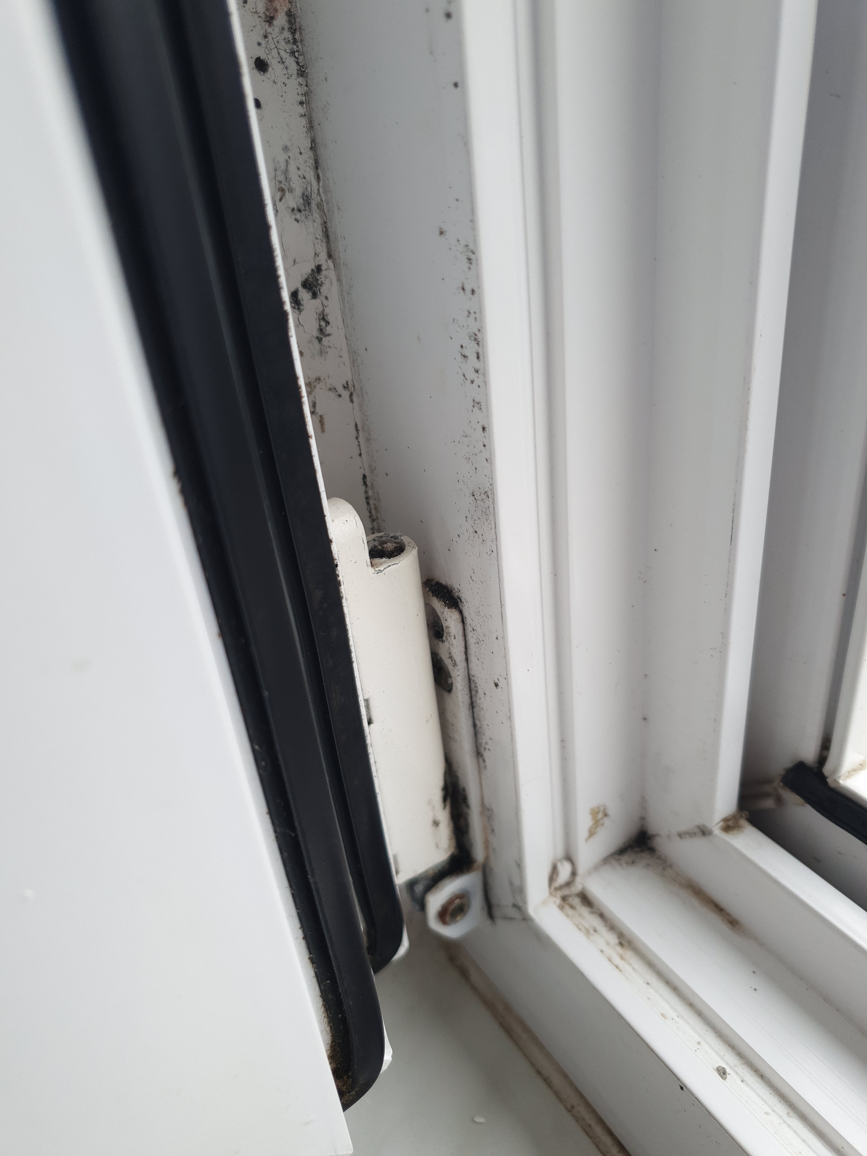 daemmung-bei-renovierung-am-rollladenkasten-schimmelvermeidung-493335-4.jpg