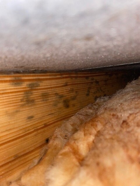 daemmung-gebaeudehuelle-holzbau.jpg