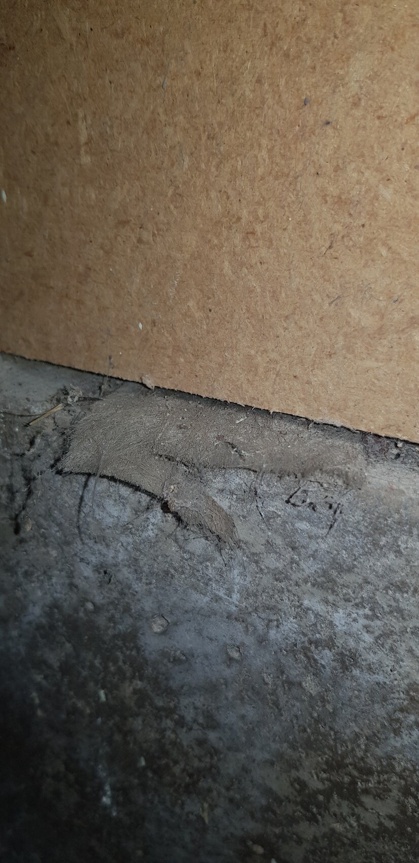 Innenwand mit brauner Dämmplatte, roher Betonboden, staubige Baustellenszene