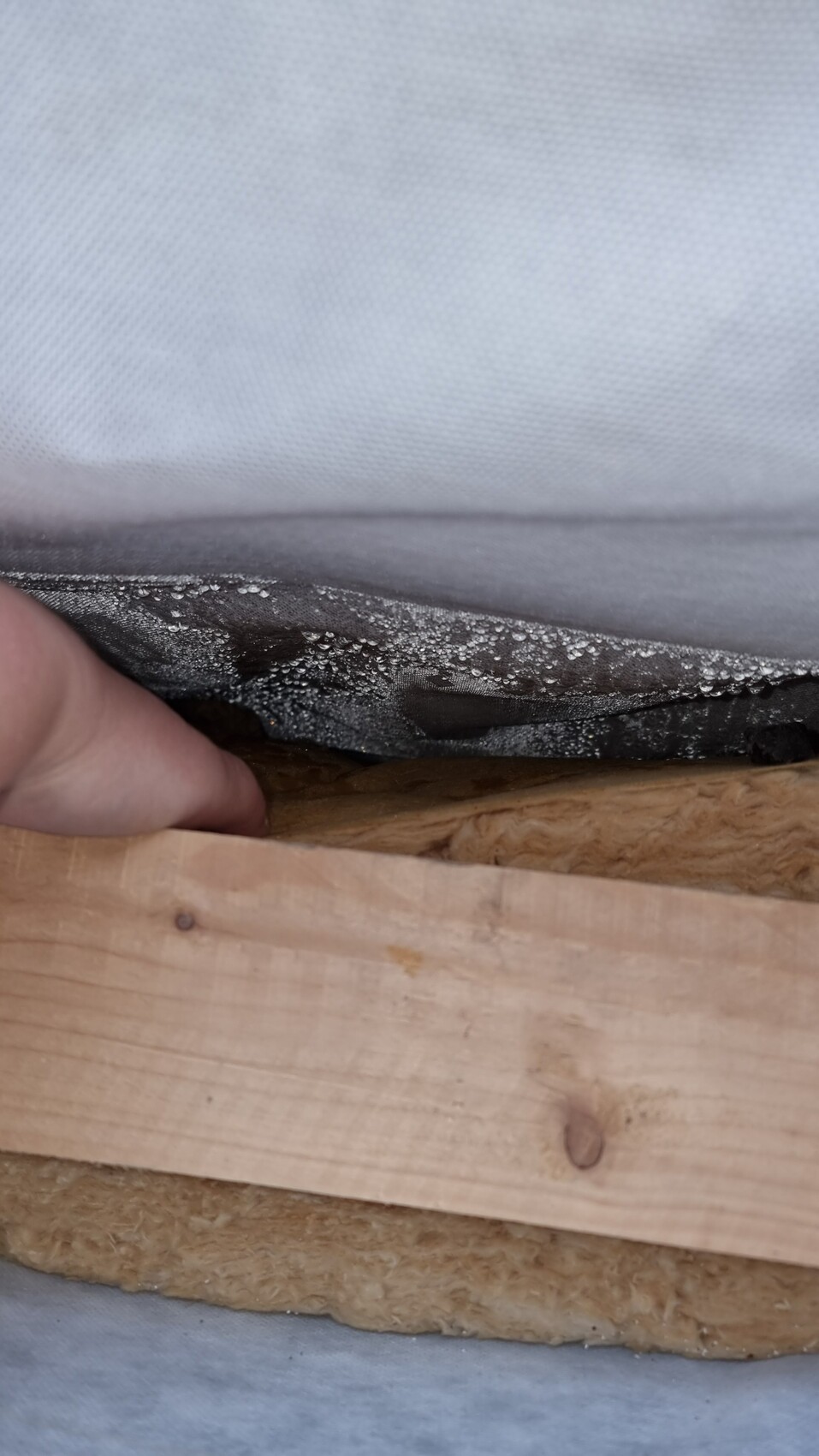 Hand hebt Dampfsperre über Mineralwolle-Dämmung zwischen Holzlatten.