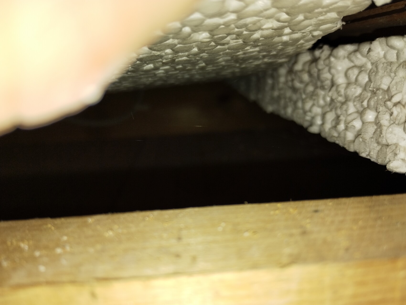 Unterseite von Holzbalken mit grauer Schaumstoff-Isolierung, Blick in dunklem Spalt.