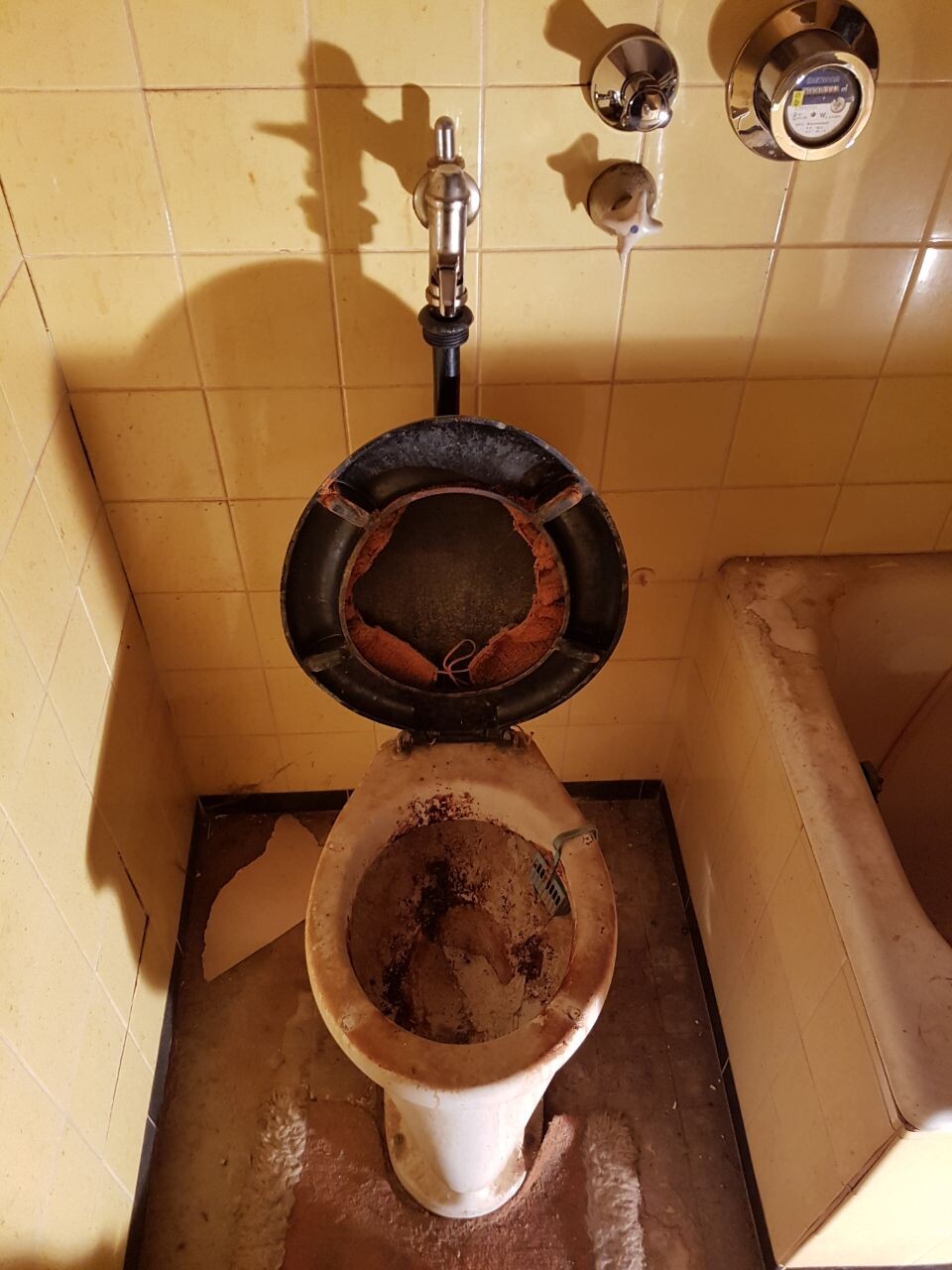 Toilette im Badezimmer mit offenem Deckel, stark verschmutzt und beschädigt.