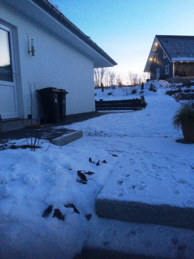 der-einzug-ins-haus-moebel-umzug-einrichten-244072-1.JPG