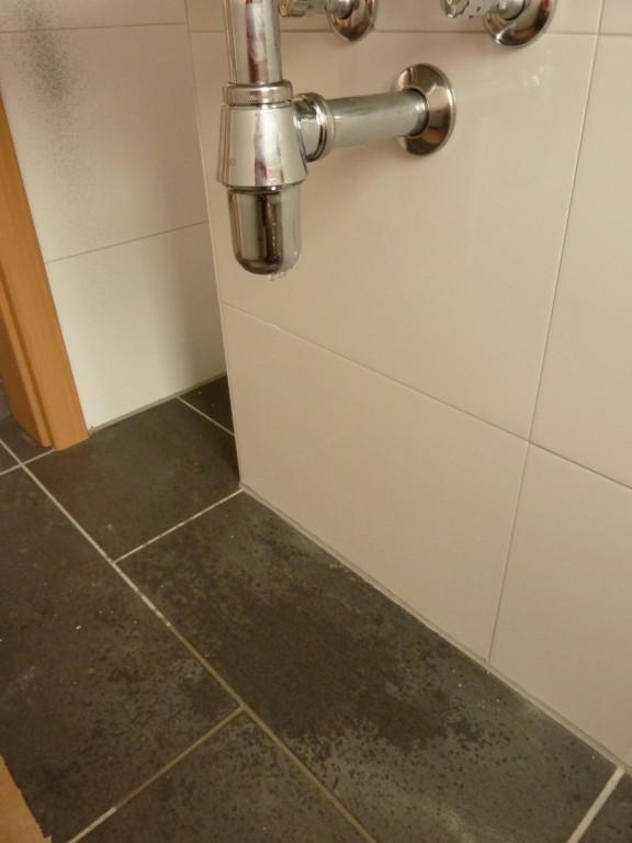 diro-bau-67346-speyer-28242-2.JPG