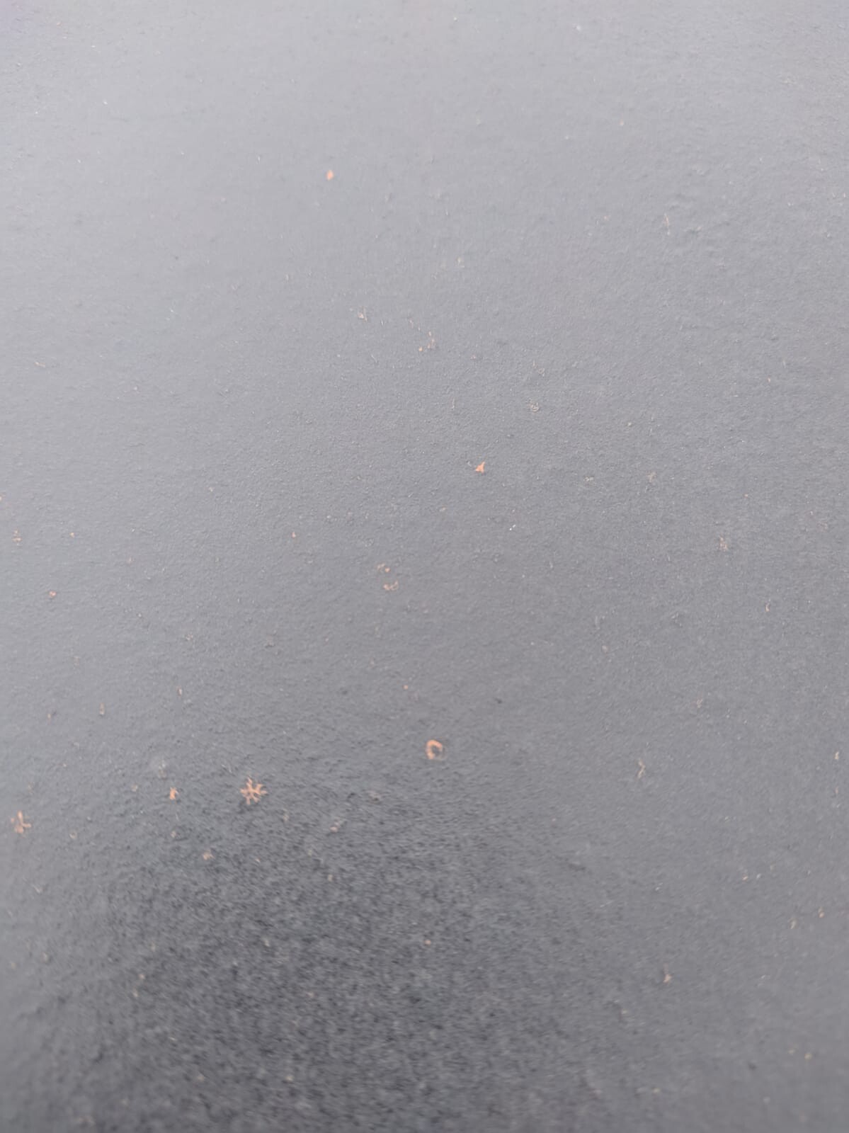 Nahaufnahme einer dunklen Terrassenoberfläche mit kleinen orangen Flecken.