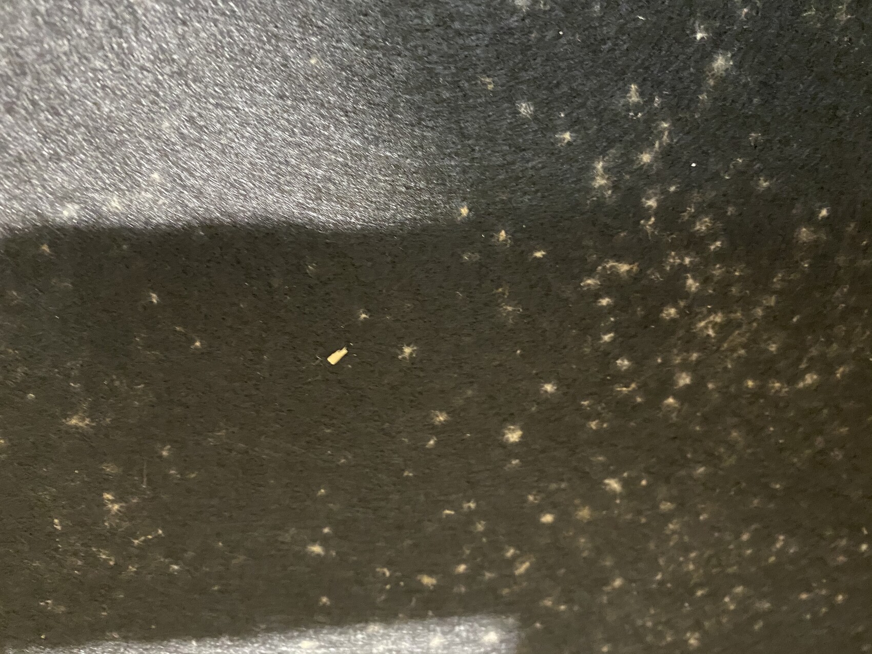 Kleine helle Zigarettenkippe liegt auf dunkler, rauer Oberfläche mit Flecken.
