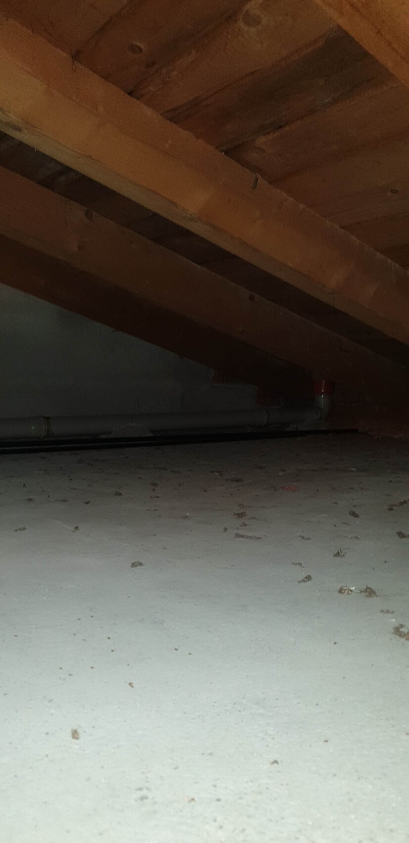 Kellerraum mit Holzbalkendecke und Rohrleitungen entlang der Wand, staubigem Boden.