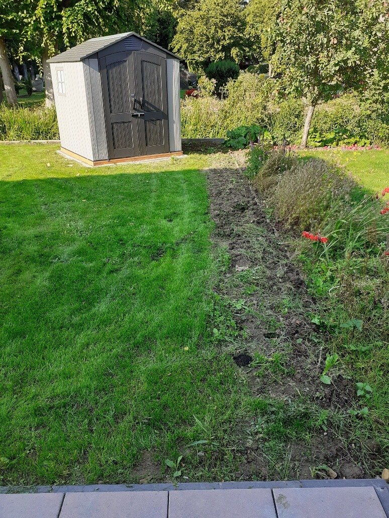 Kleines graues Gartenhaus mit schwarzen Doppeltüren, Rasen links, Beet mit roten Blumen