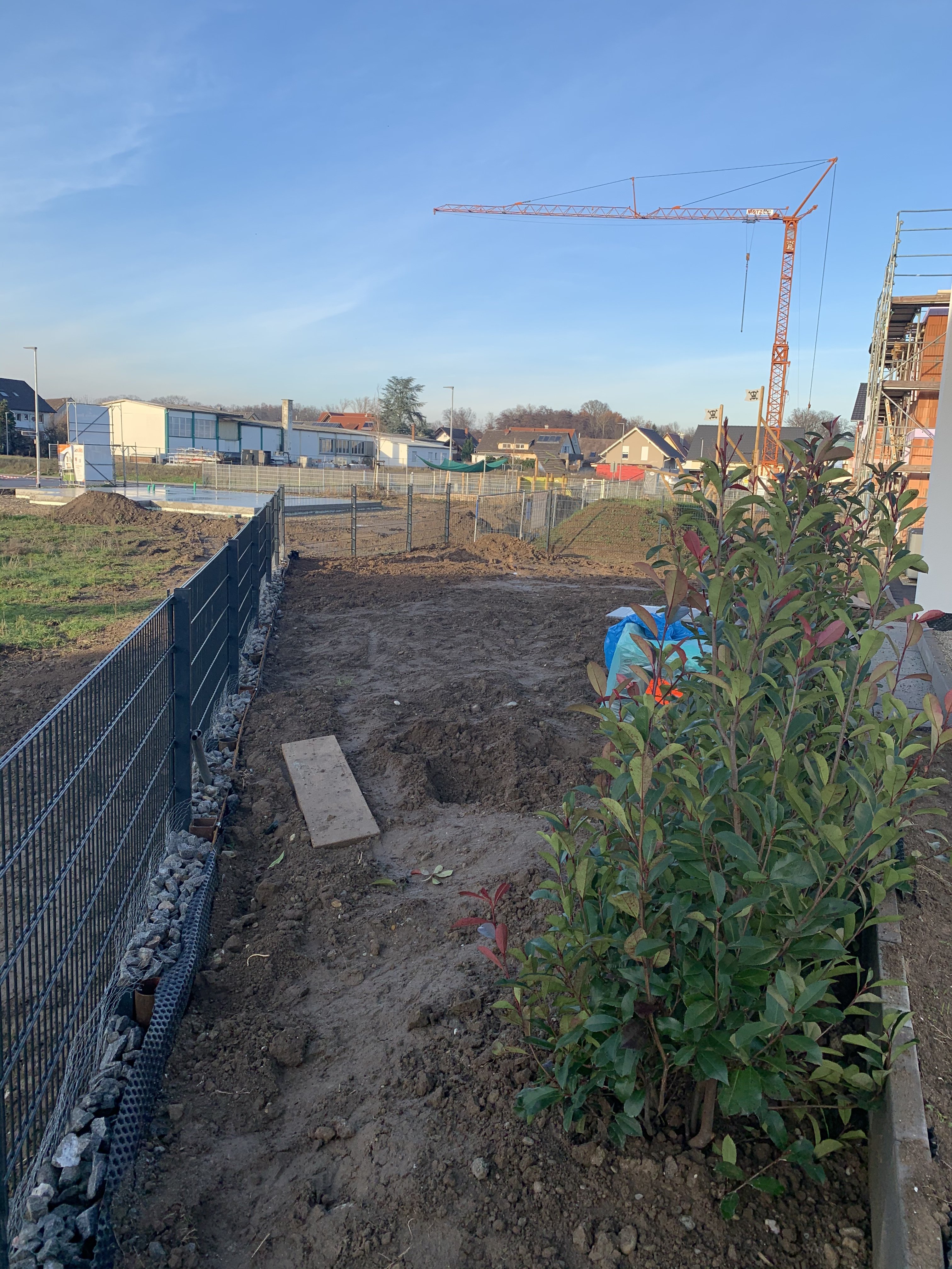 efh-160m-bauhausstil-erster-entwurf-nach-unseren-wuenschen-455809-2.jpeg