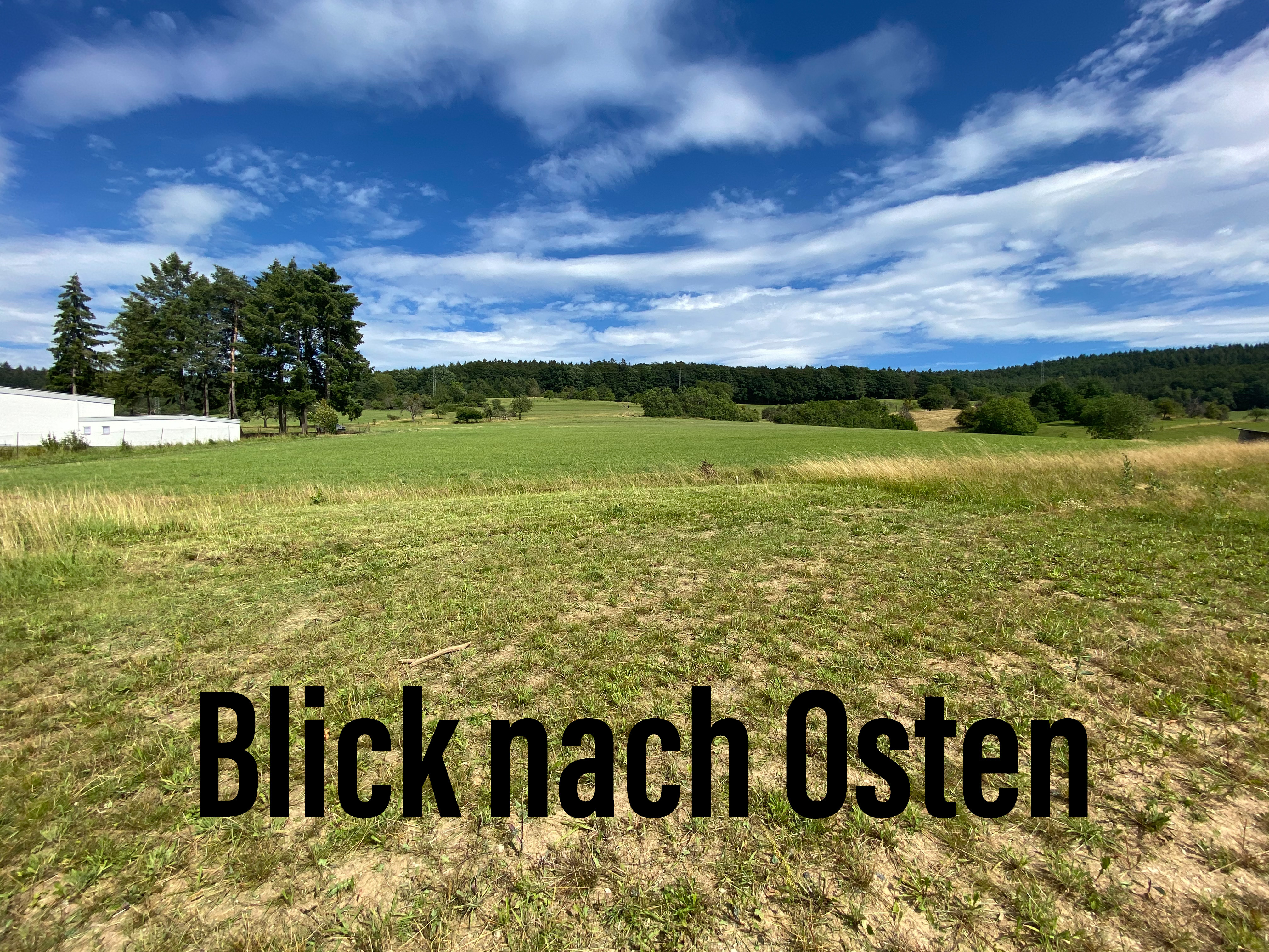 efh-staffelgeschoss-fertigbauweise-416176-1.jpeg