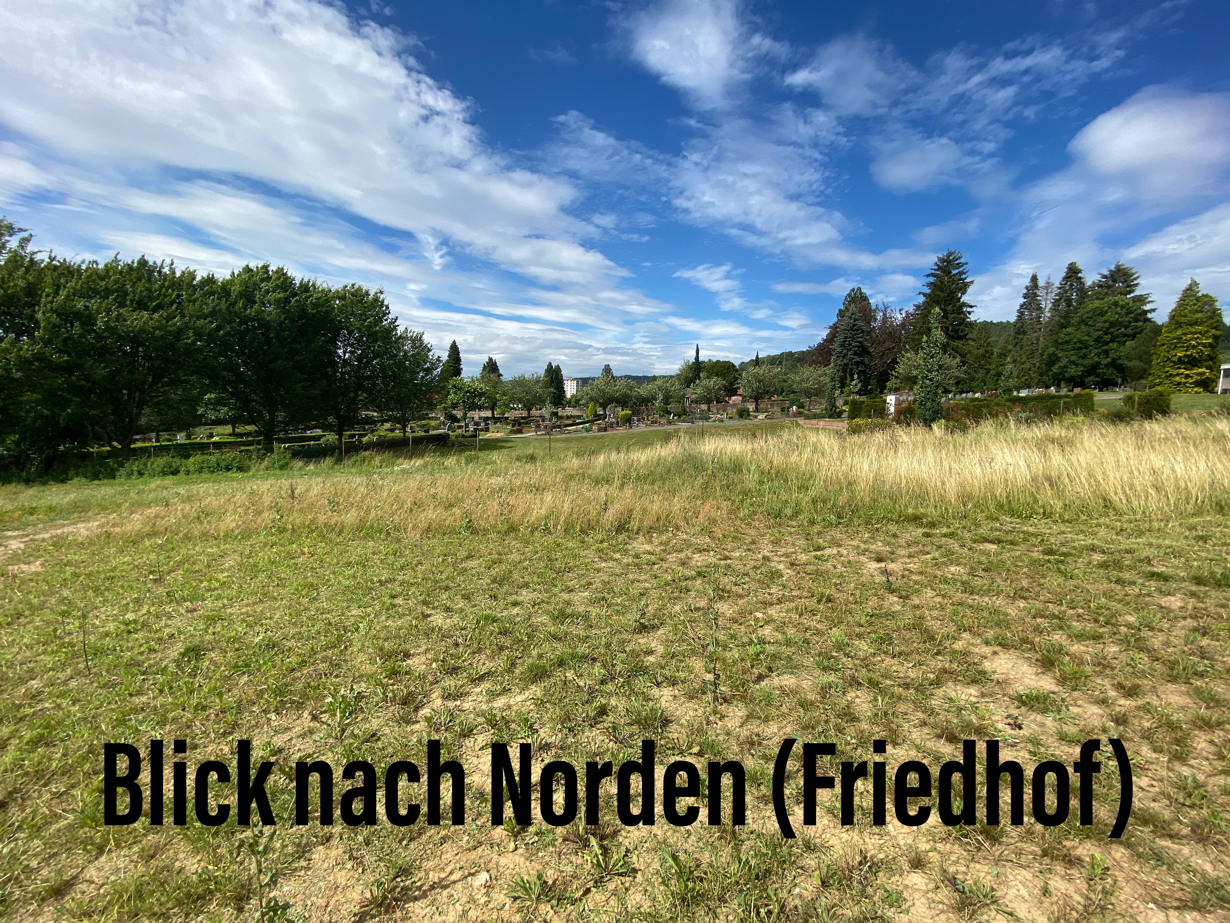 efh-staffelgeschoss-fertigbauweise-416176-3.jpeg