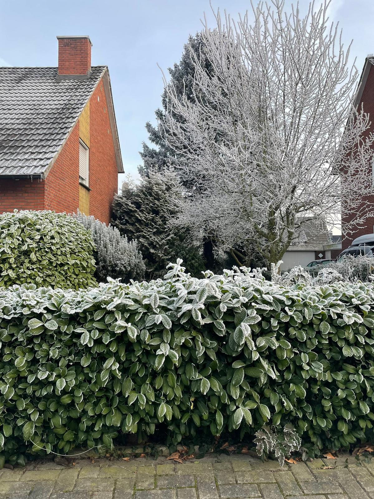 efh-vergroessern-kernsanieren-oder-abreissen-und-neubauen-546862-1.jpg