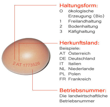 Ei mit Labelangaben zu Haltungsform Herkunftsland Betriebsnummer