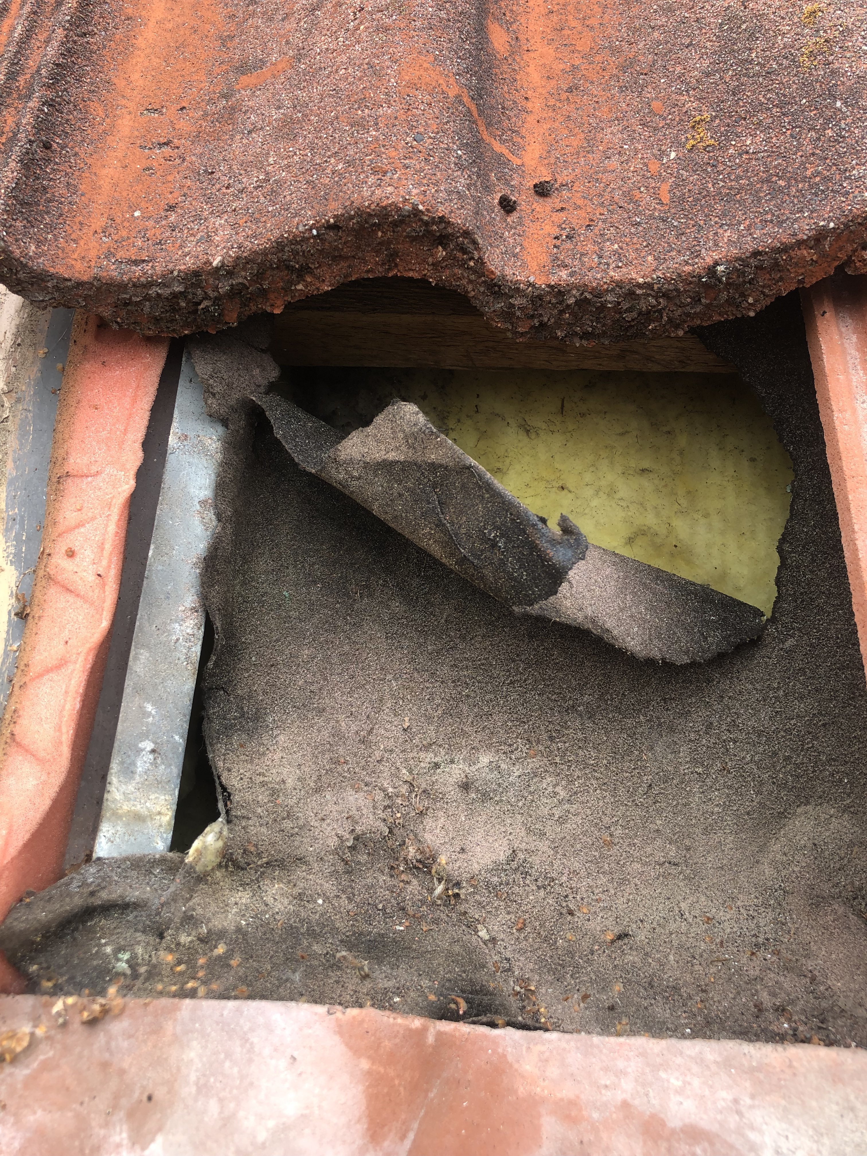 einbau-velux-energie-plus-fenster-walmdach-592501-1.jpeg