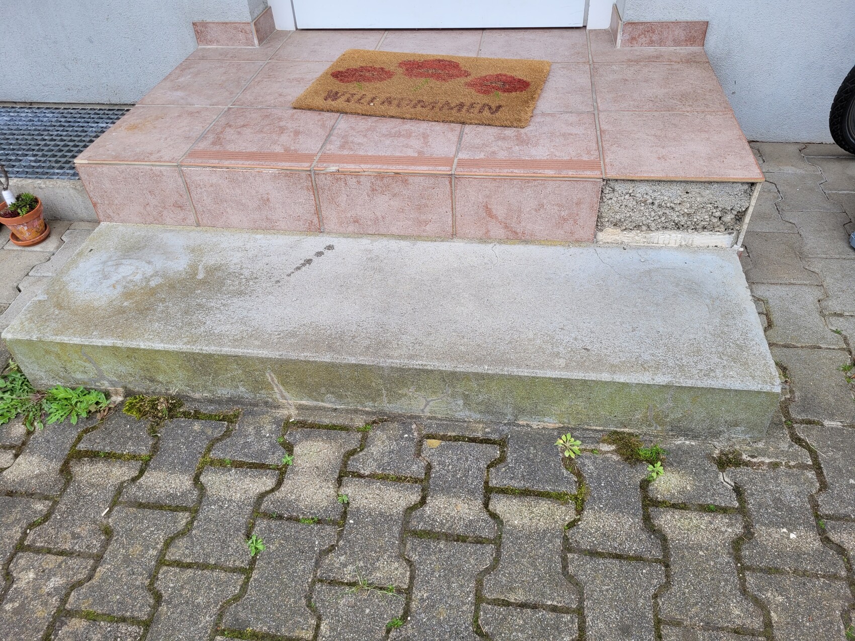 Eingangsbereich mit beigefarbenen Fliesenstufen; Willkommensmatte mit roten Pfoten; Pflanze links