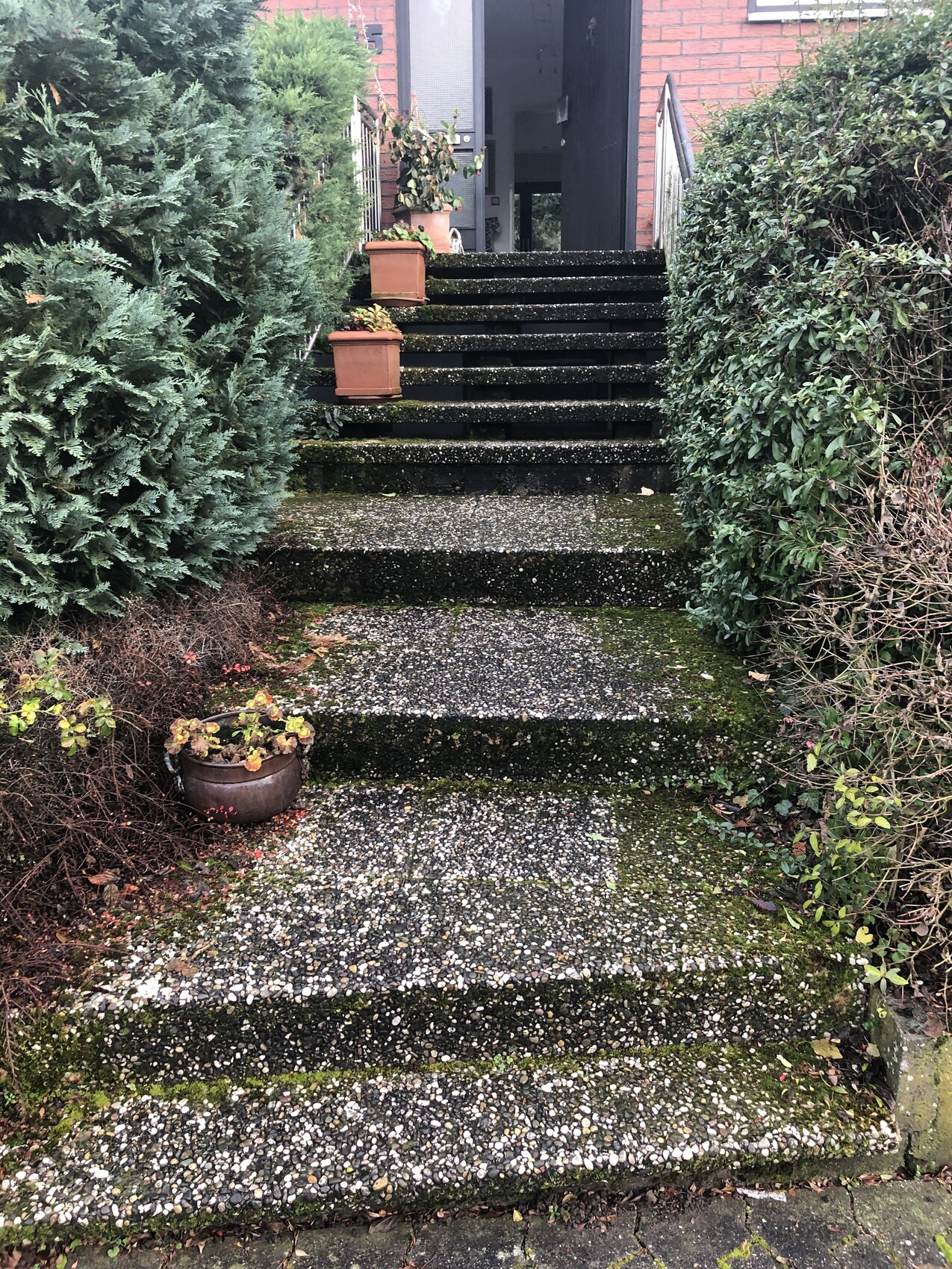 Moosige Betonstufen führen zur Haustür; Pflanzkübel und Büsche säumen die Treppe.