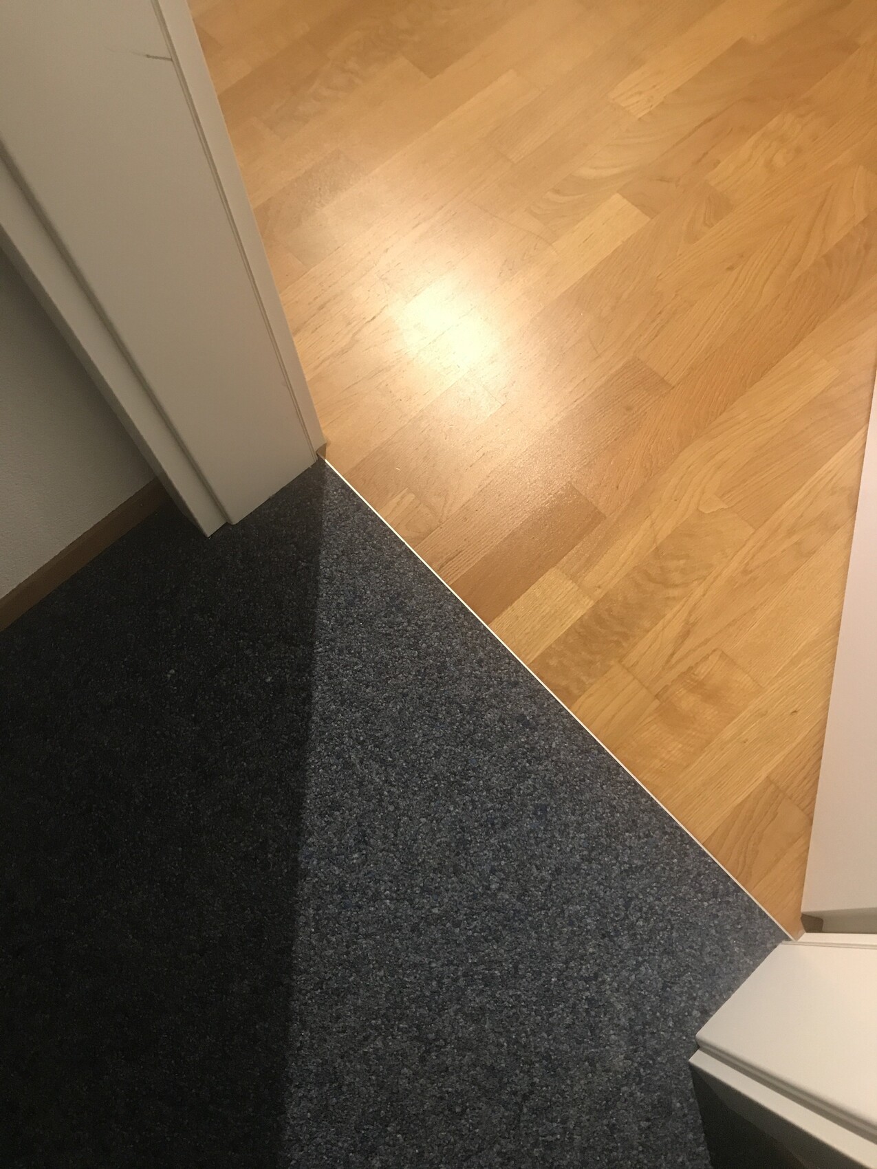 Übergang von dunklem Teppichboden zu hellem Holzboden am Türbereich.
