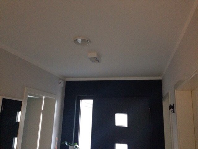 Flur mit dunkler Haustür, zwei quadratische Fenster in der Tür, Deckenlampe und Spiegelwand.