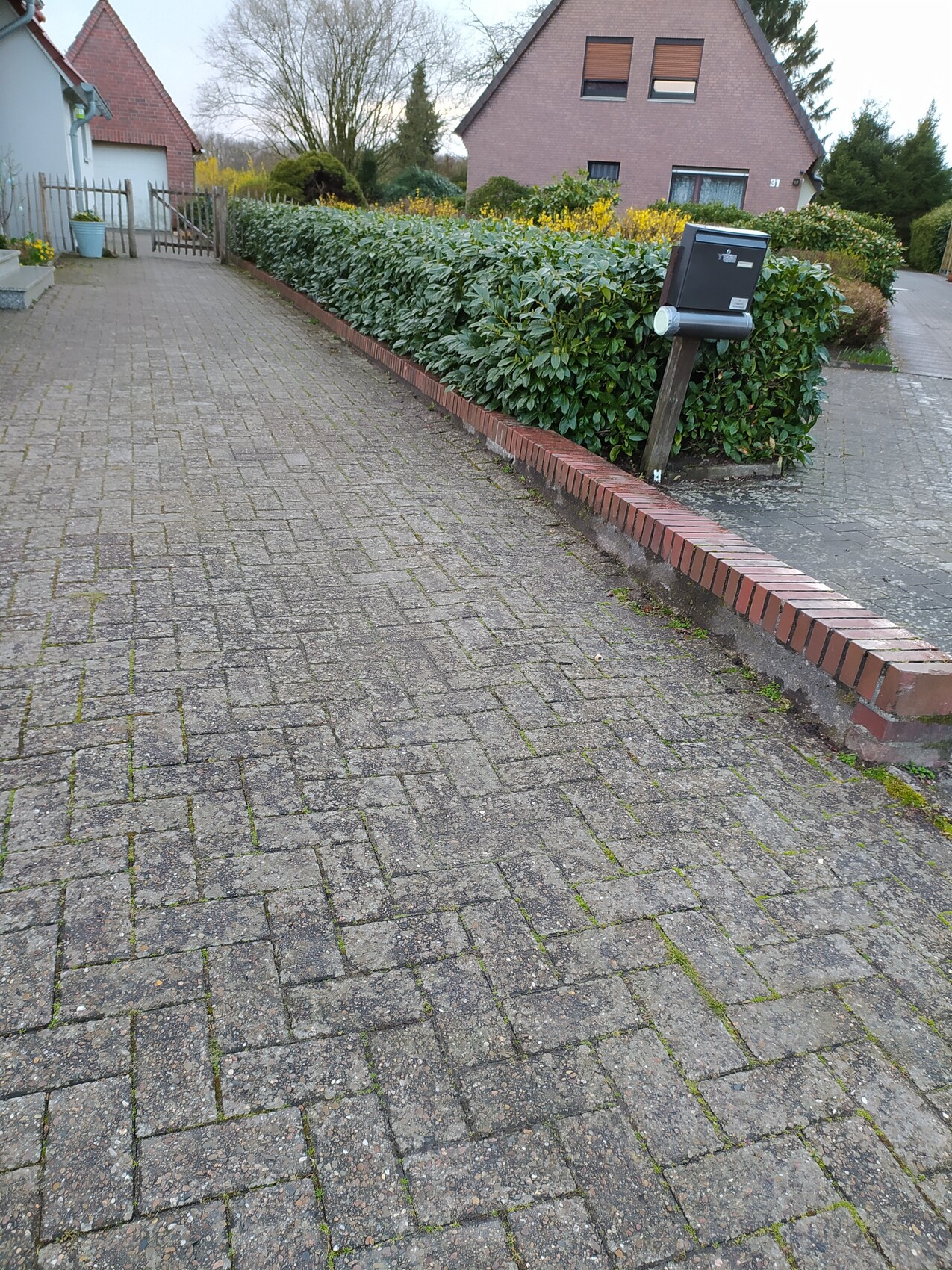 Gepflasterter Weg neben einer dichten Hecke mit Briefkasten am Pfosten, Haus im Hintergrund.