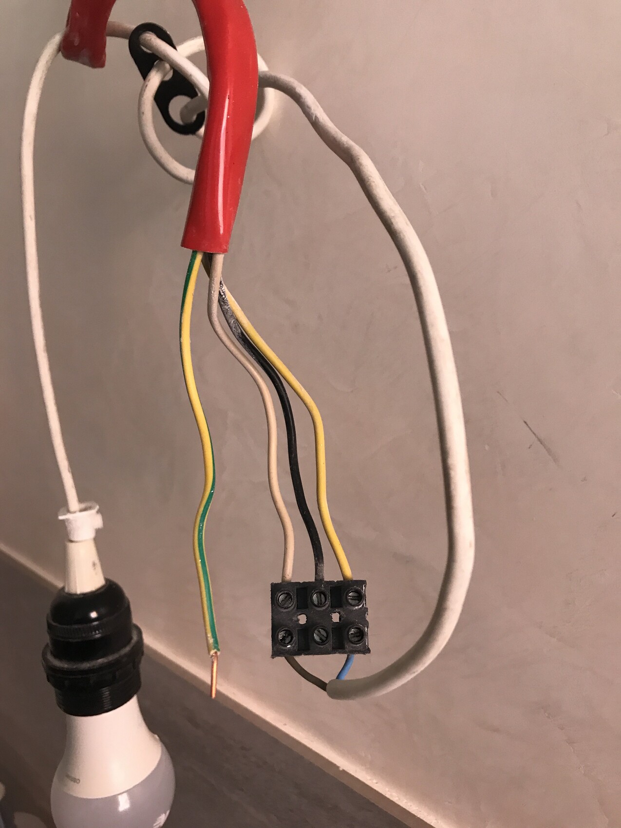 Freigelegte Elektroleitungen einer Lampe mit Klemmblock und Glühbirne.