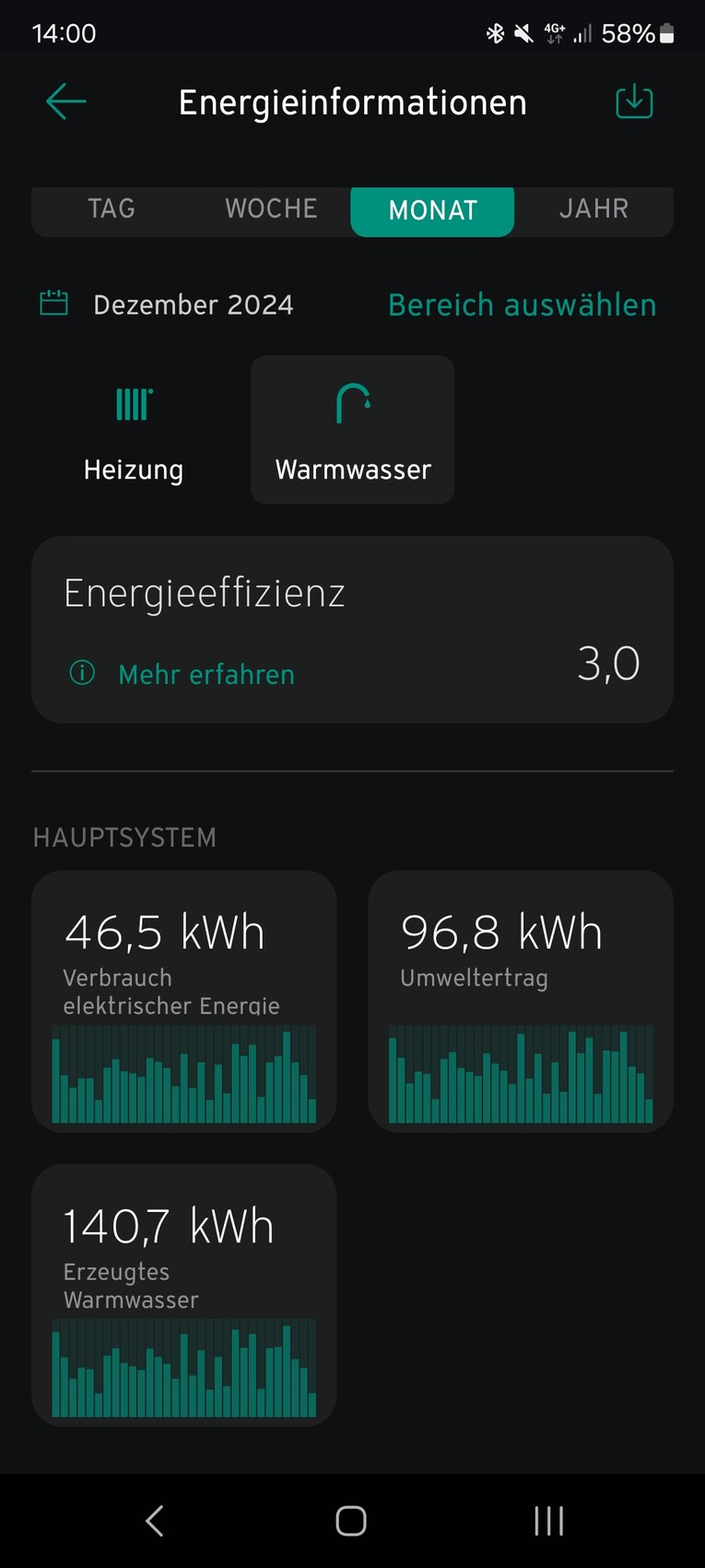 Monatliche Energiestatistik: Heizung, Warmwasser, Verbrauch und Effizienz.