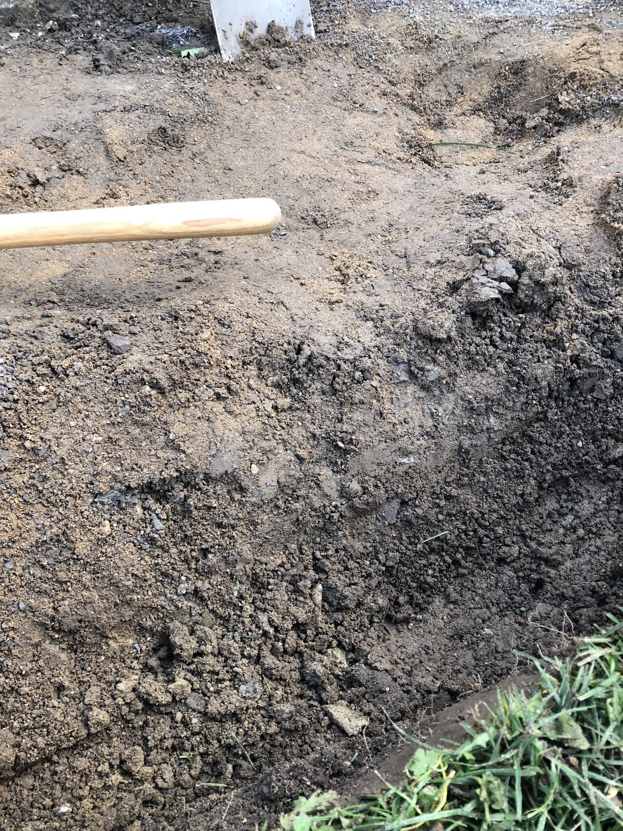 Frisch gegrabene Erde mit Holzgriff eines Spatens, Gras am Rand.