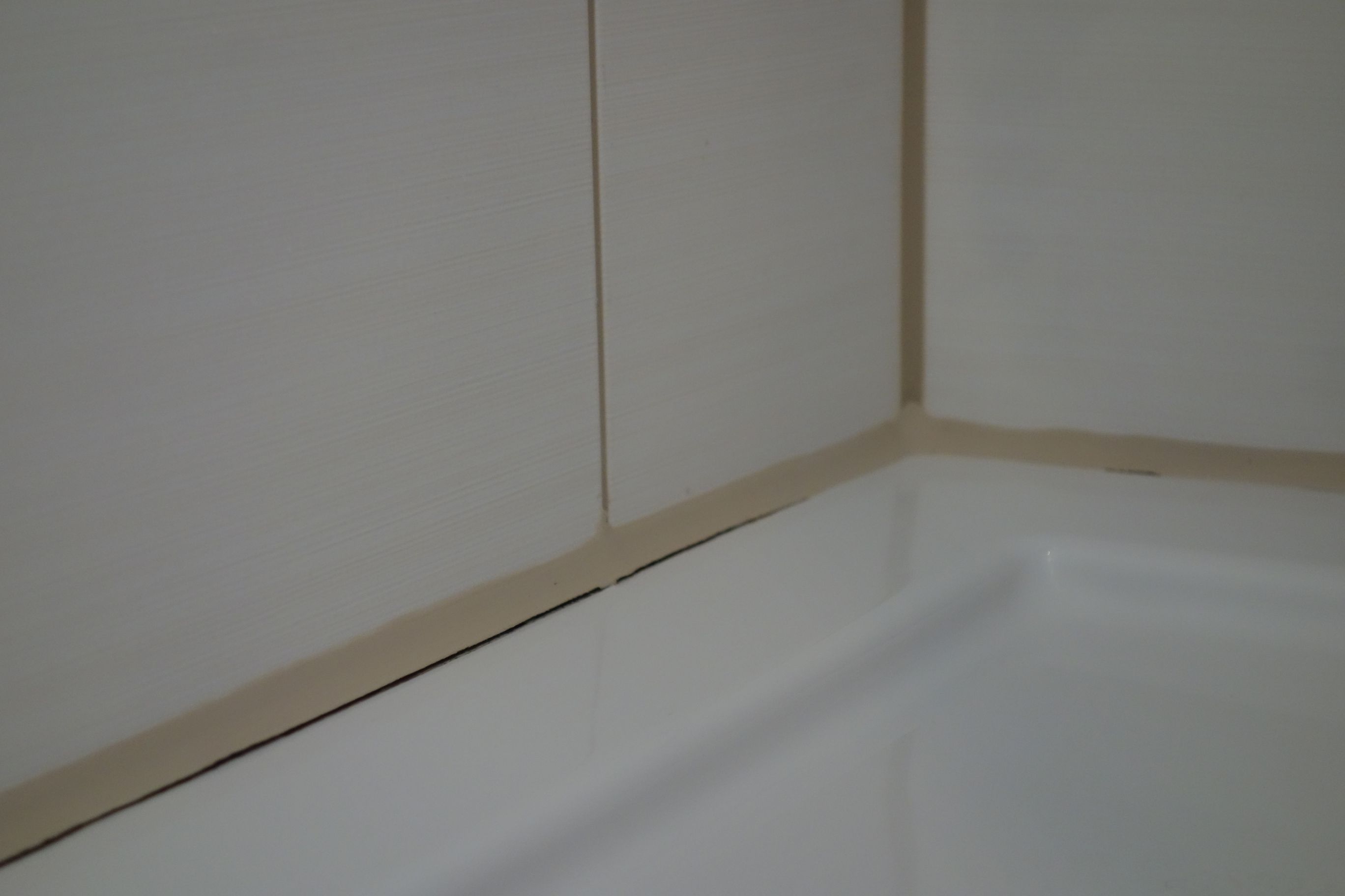 erfahrungen-mit-duschwannenelementen-mit-acryloberflaeche-539785-1.jpg