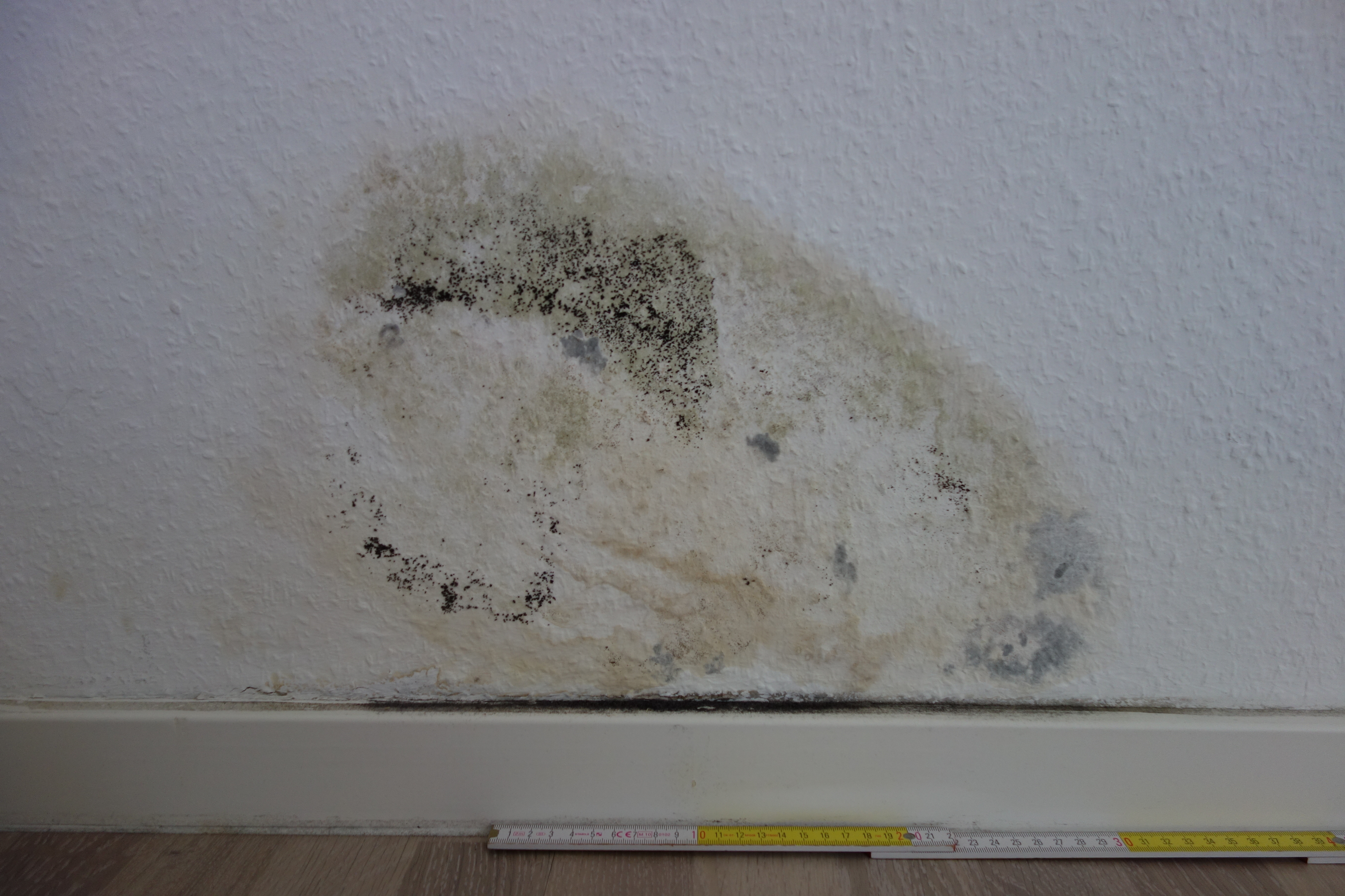erfahrungen-mit-duschwannenelementen-mit-acryloberflaeche-539785-3.JPG