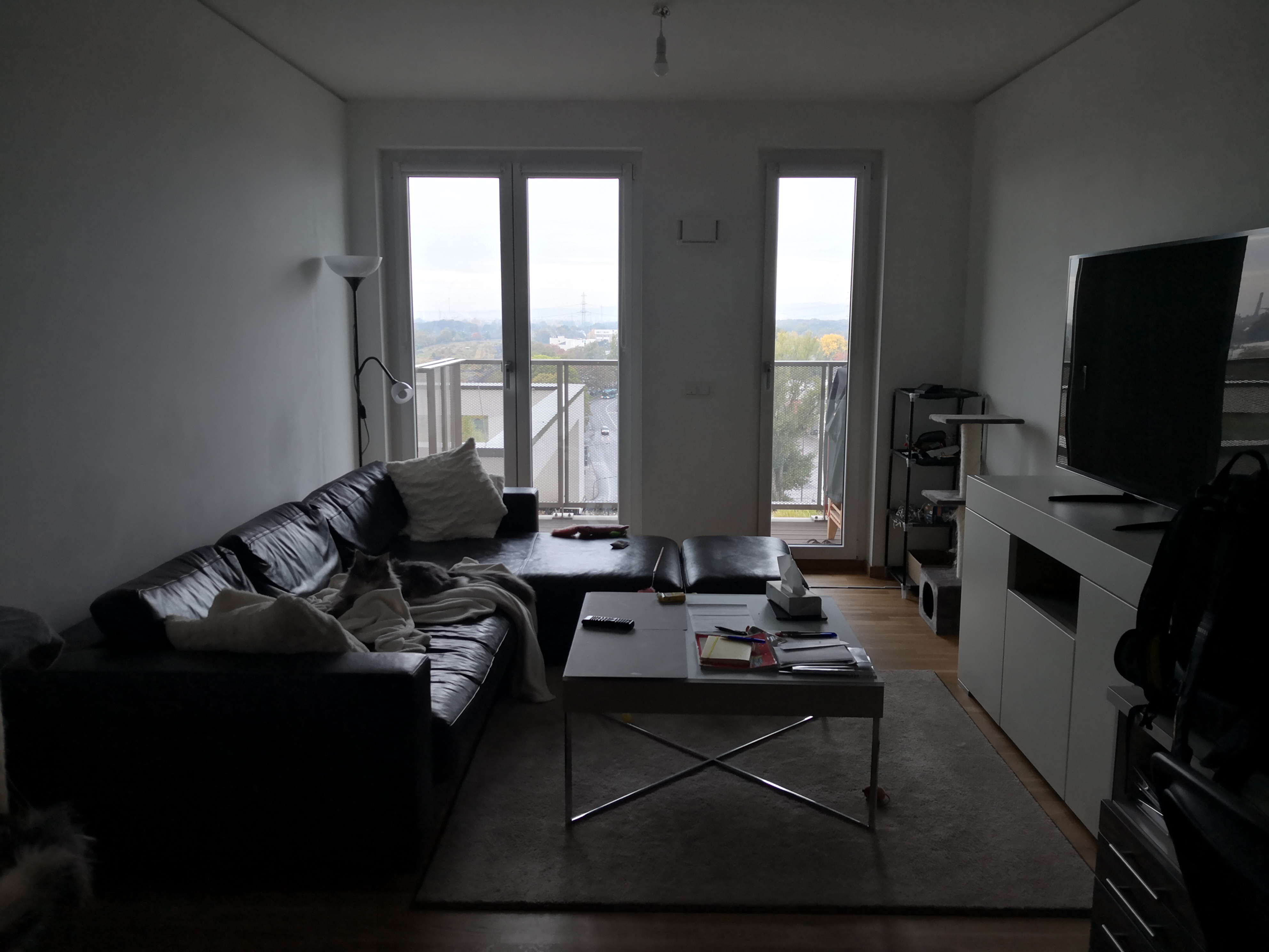 erster-hausentwurf-und-grundrissplanung-eure-meinungen-sind-gefragt-442839-1.jpg