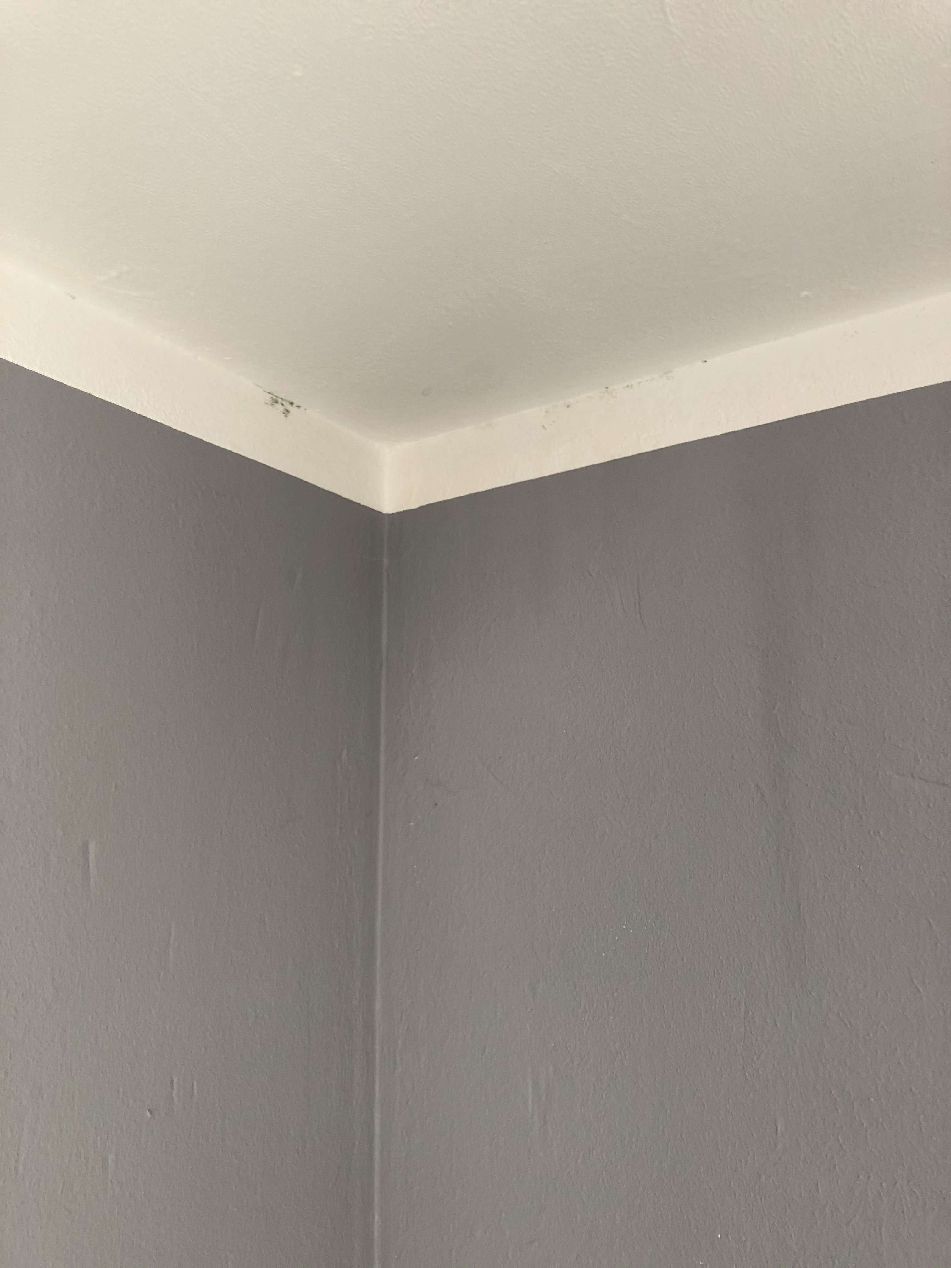 etw-mit-schimmelecken-nachtraeglich-daemmen-456630-3.jpeg