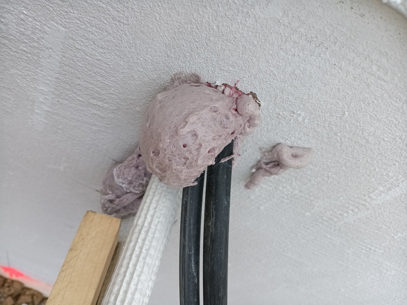 Große rosa-lila, schaumartige Masse klebt an der Wand neben schwarzen Rohren.