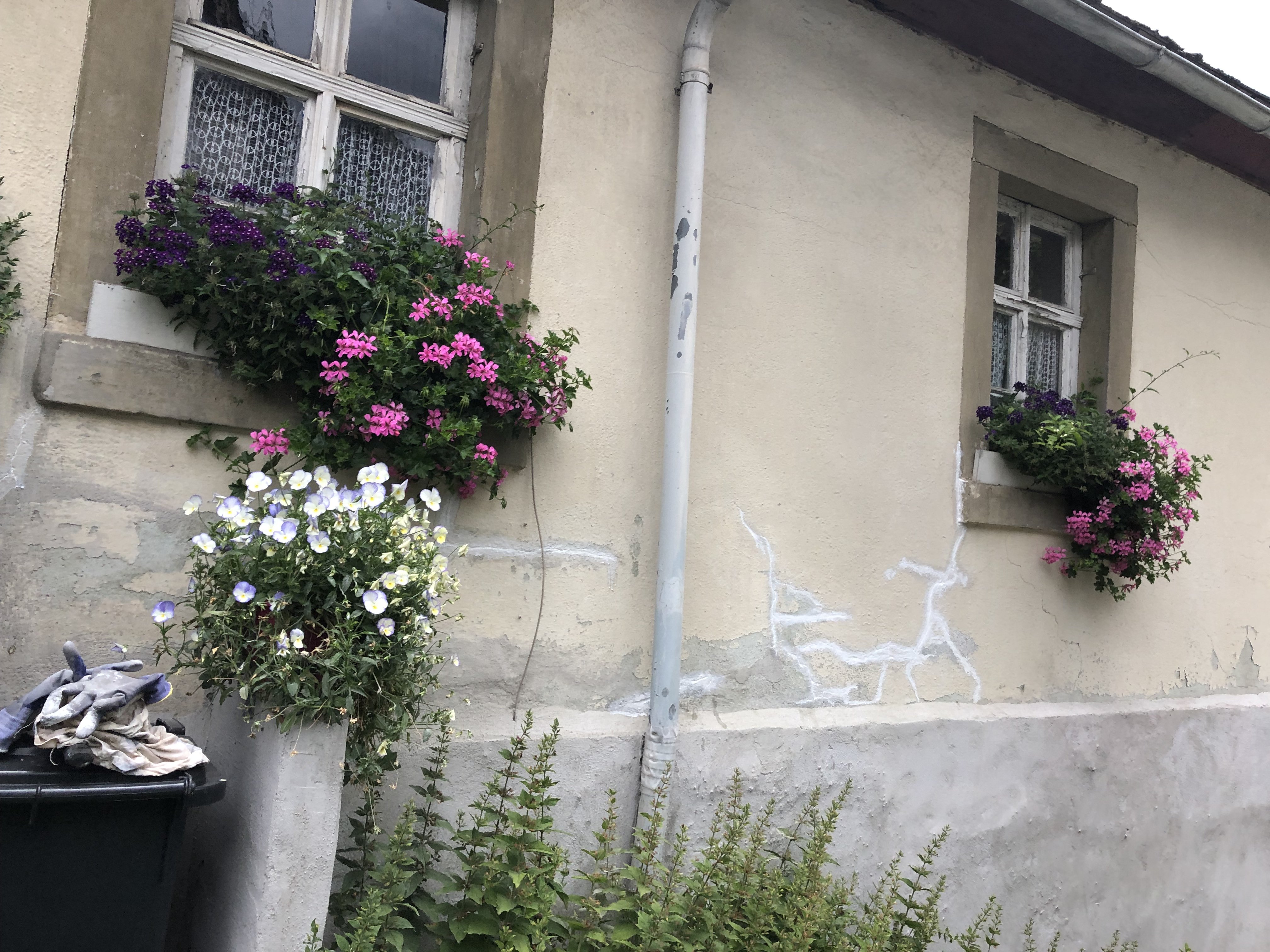 farbe-abbekommen-von-haus-1900-345268-1.jpeg