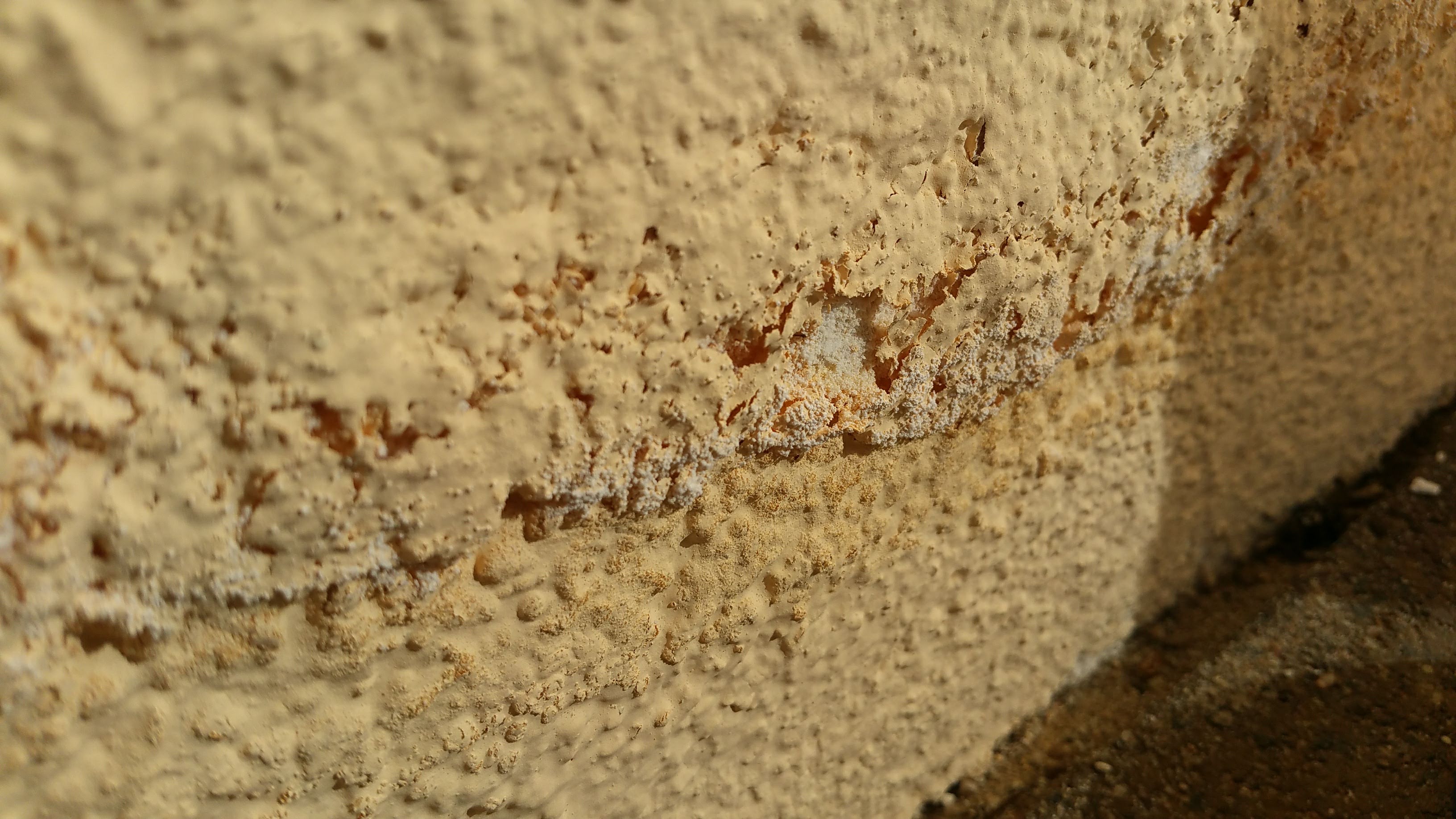 fassade-neu-gestrichen-farbe-blaettert-ab-475300-1.jpg