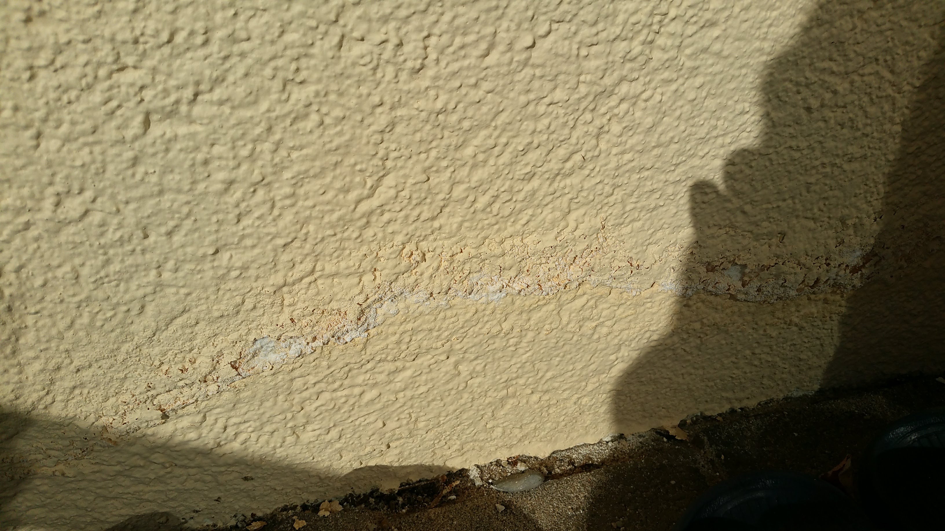 fassade-neu-gestrichen-farbe-blaettert-ab-475300-2.jpg