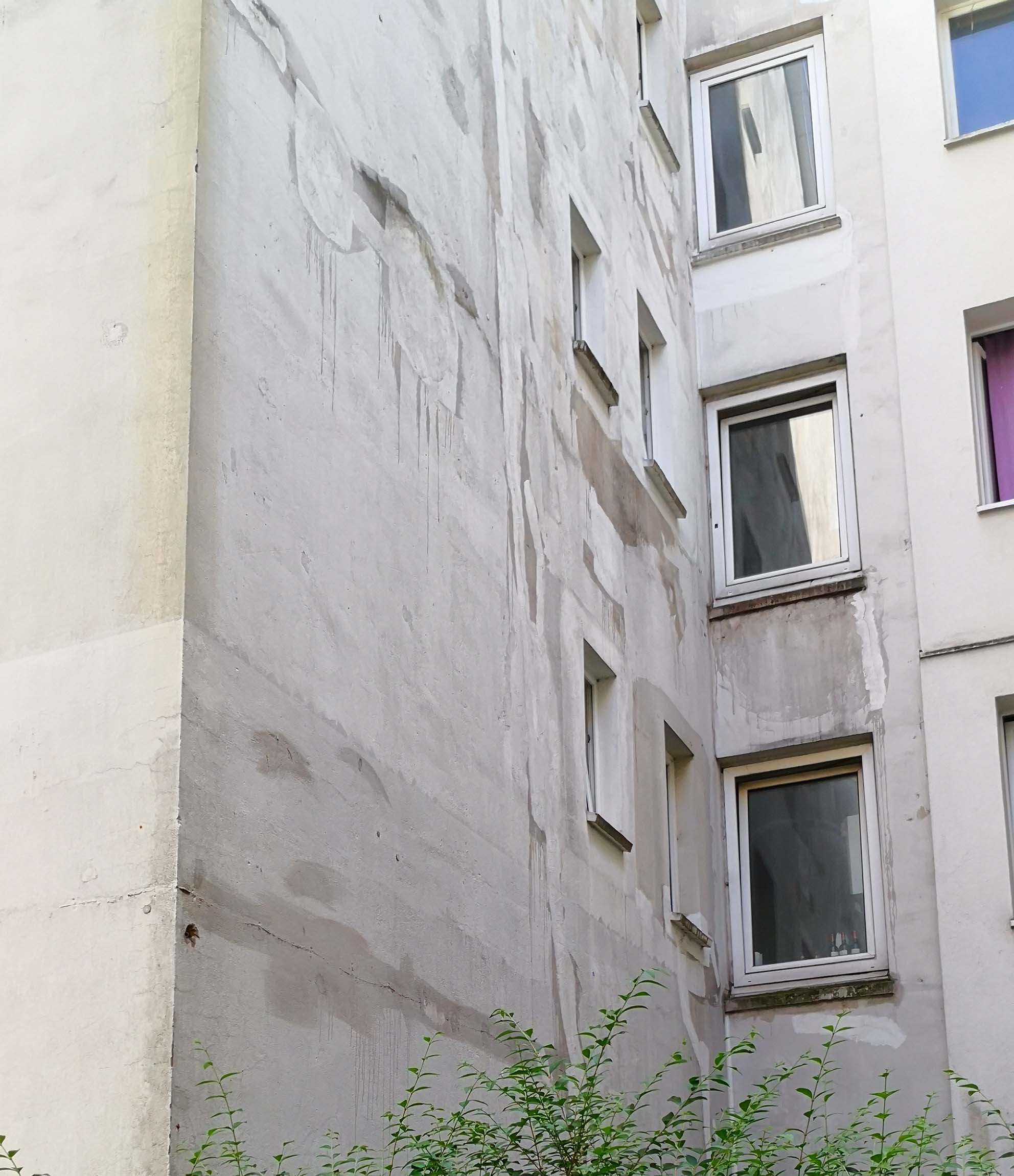 fassadensanierung-abbeizen-oder-elastikgewebe-oder-was-412915-1.jpg
