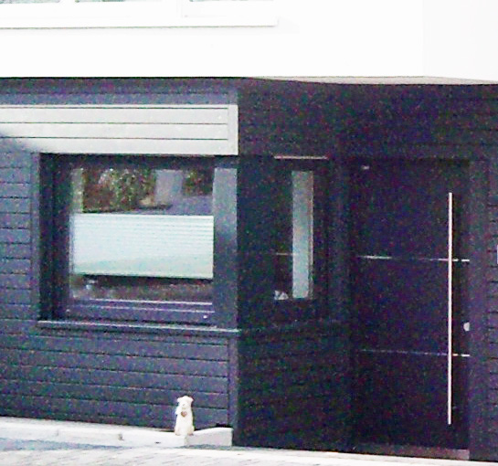 fassadenverkleidung-holzoptik-121452-1.jpg