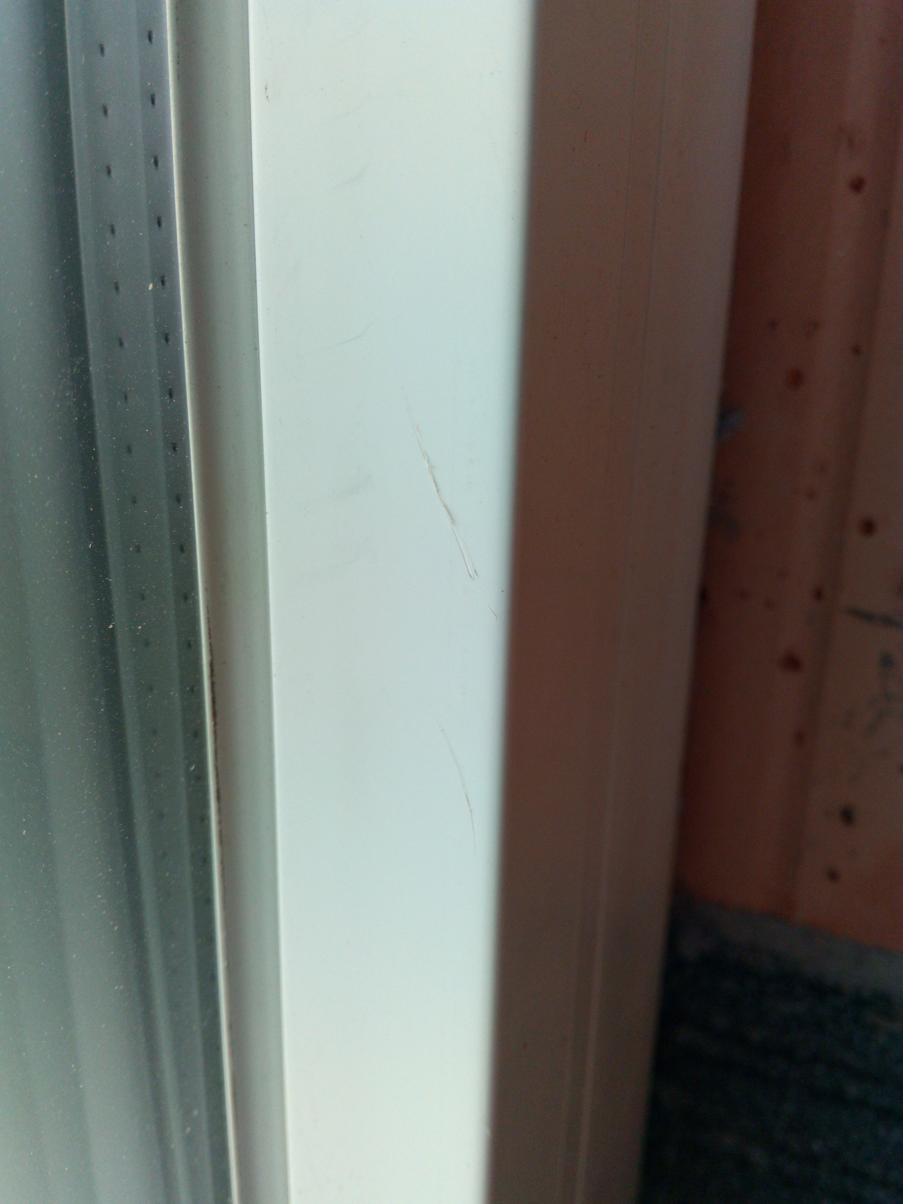 fast-an-jedem-fenster-kratzer-was-ist-da-normal-205395-6.jpg
